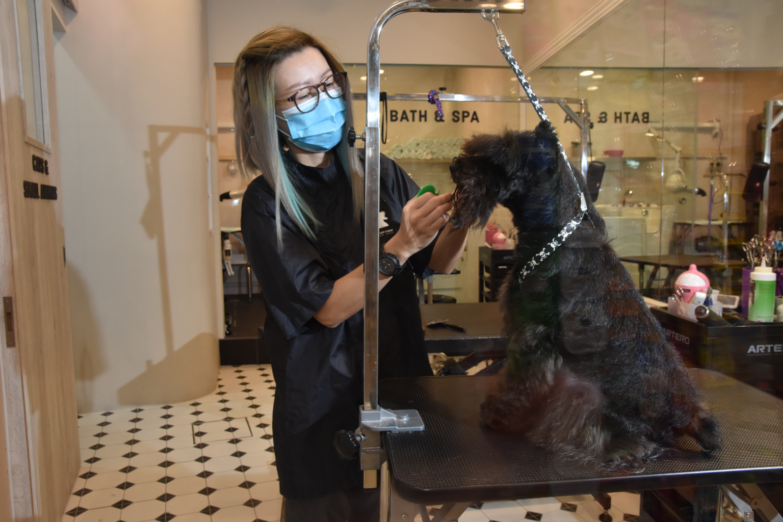 Pet Lovers Centre, Enterprise Singapore, pet supplies, Covid-19, digitalisation