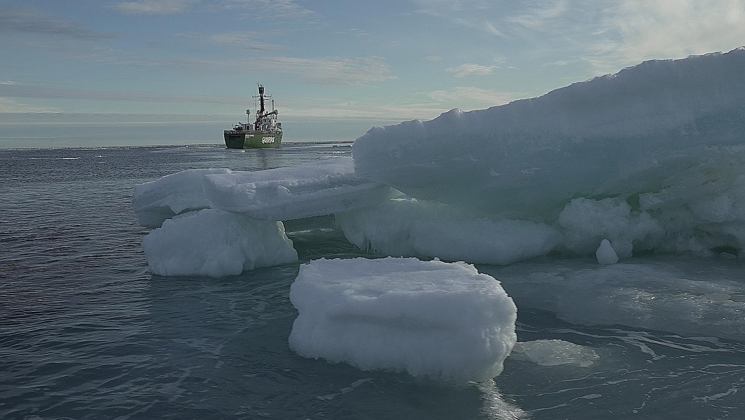 Floating ice in the Arctic Ocean this week. While it is normal for pieces of ice to break off from a glacier, they are generally not as large as the chunk - estimated to be about one-sixth the size of Singapore - that split from the glacier in north-
