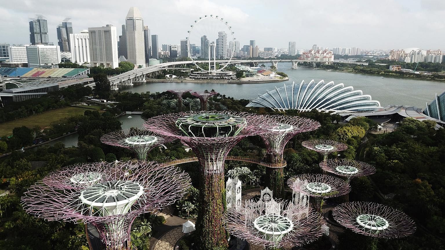 The Supertree Grove at Gardens By the Bay. The attraction is among the operators that are planning to scale up their capacity to meet an expected increase in demand when the $100 tourism vouchers are issued to Singaporeans in December. ST PHOTO: LIM 