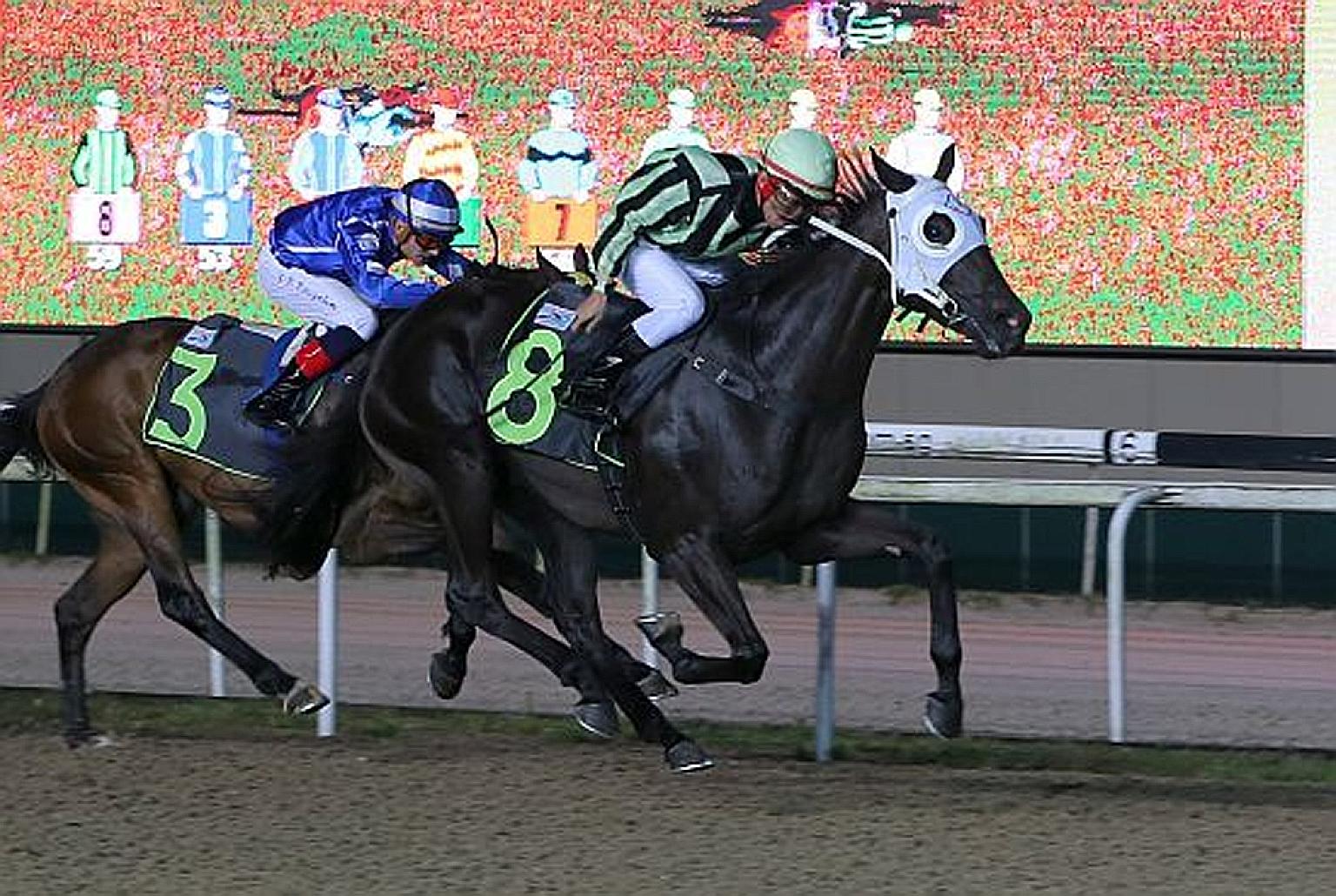 Takhi winning first-up on Feb 21 with apprentice jockey Tan Zhi Xian astride.