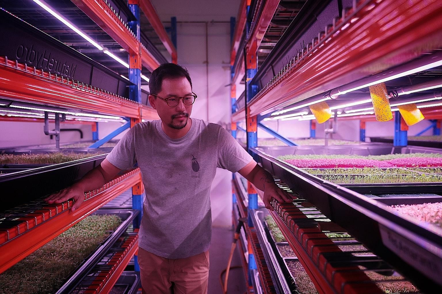 Mr Bjorn Low was a high-flying adman, but gave it up to start urban farming social enterprise Edible Garden City, which aims to create social change through community-centric agriculture.