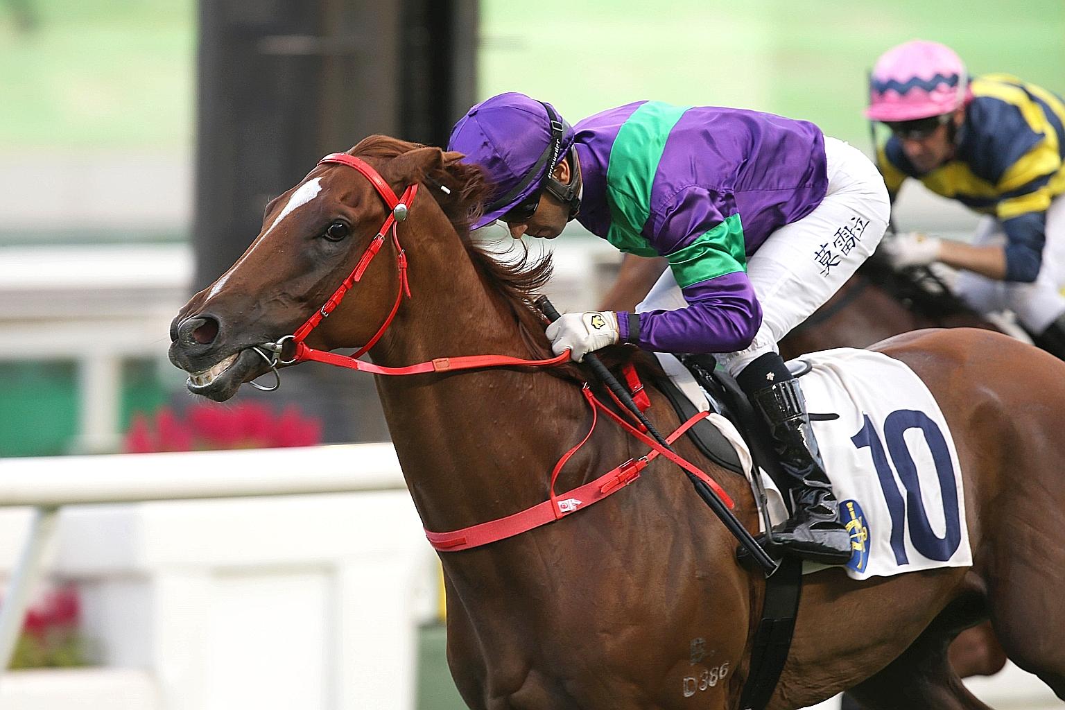 Excellent Proposal, winner of both his starts this season, is on an upward trajectory towards the 2021 Four-Year-Old Classic Series. He looks hard to beat in tomorrow's last race.