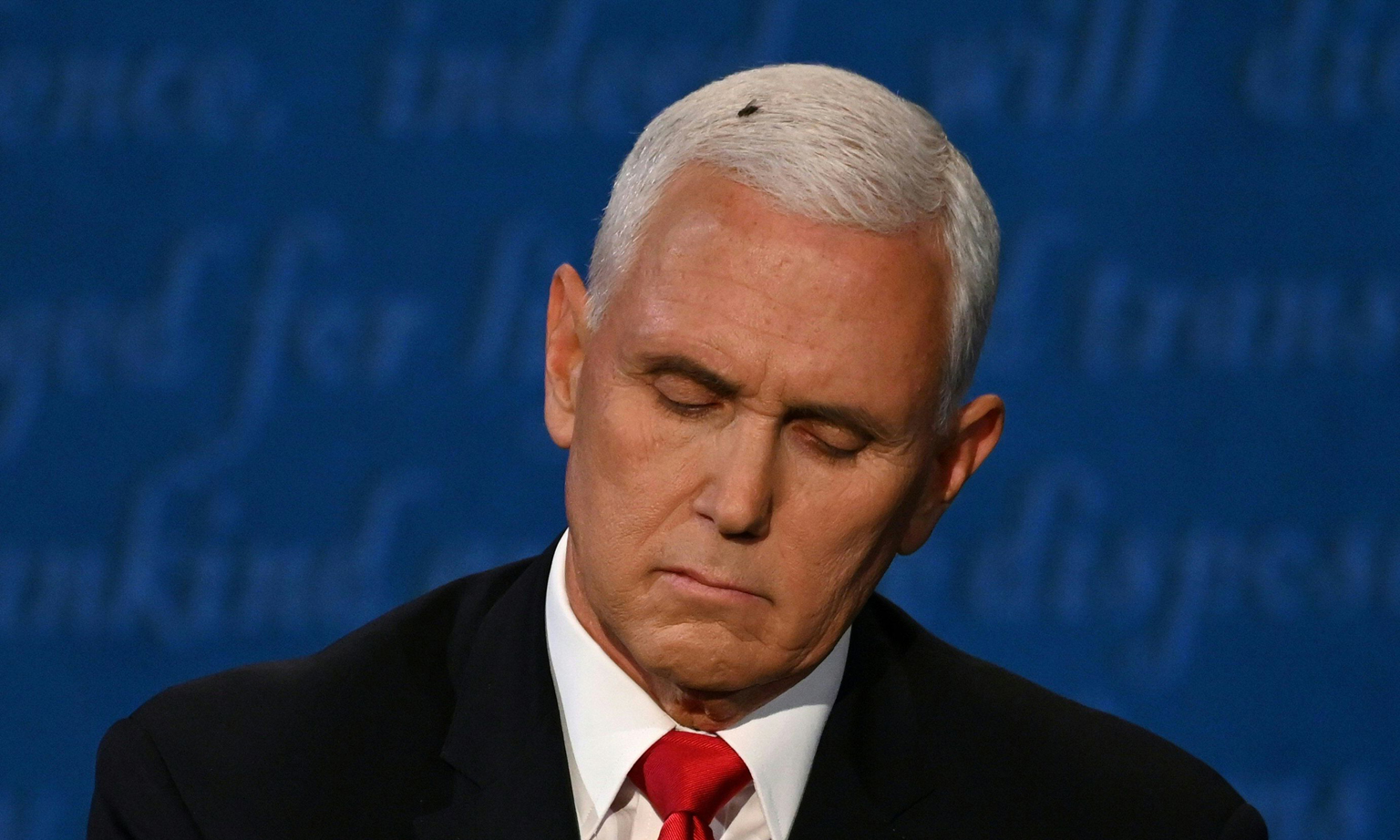 The fly landed and rested on the head of US Vice-President Mike Pence during the vice-presidential debate against Democratic vice-presidential nominee Kamala Harris, in Kingsbury Hall at the University of Utah, on Wednesday.