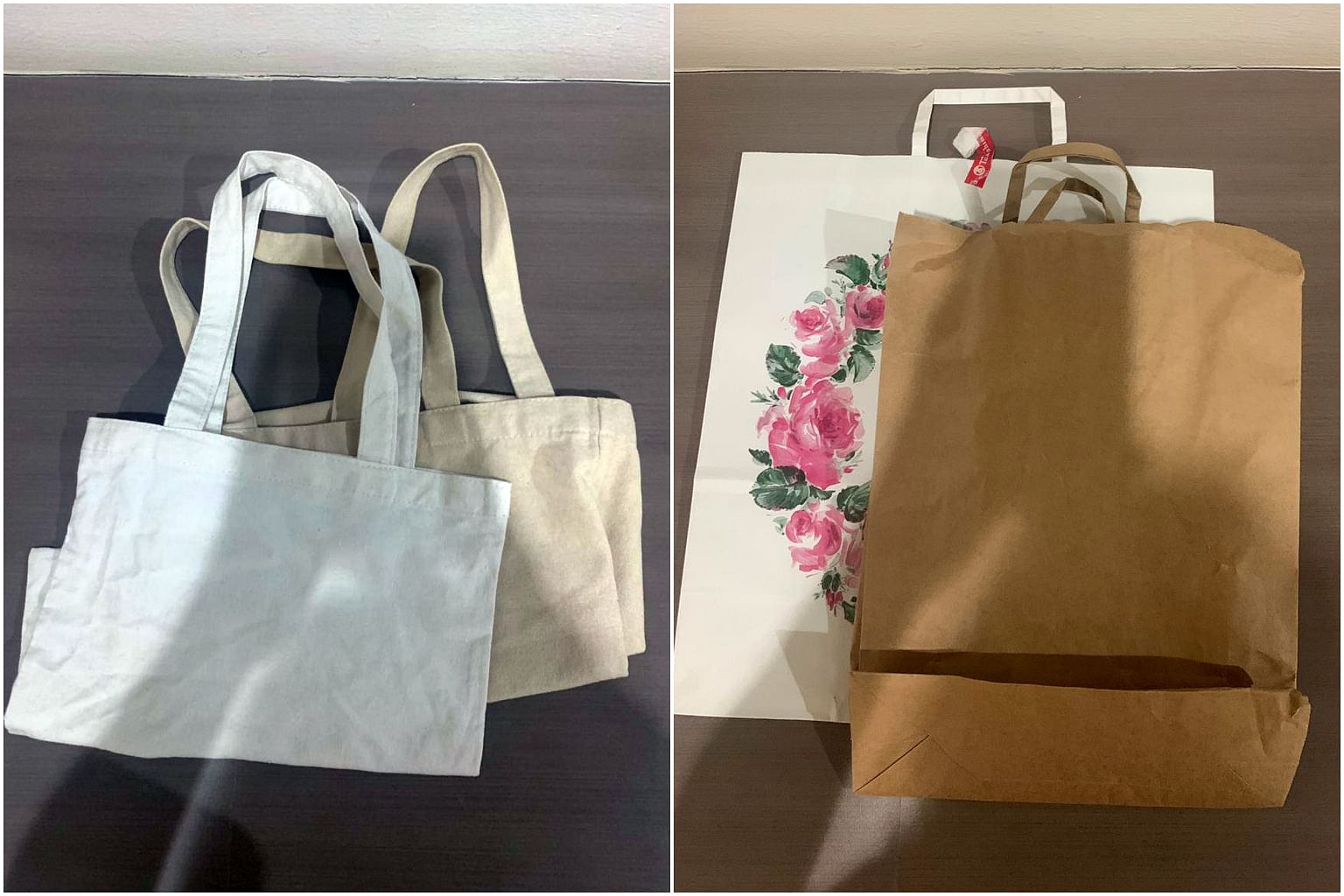 Mizoram goes eco-friendly; replaces plastic with paper bags