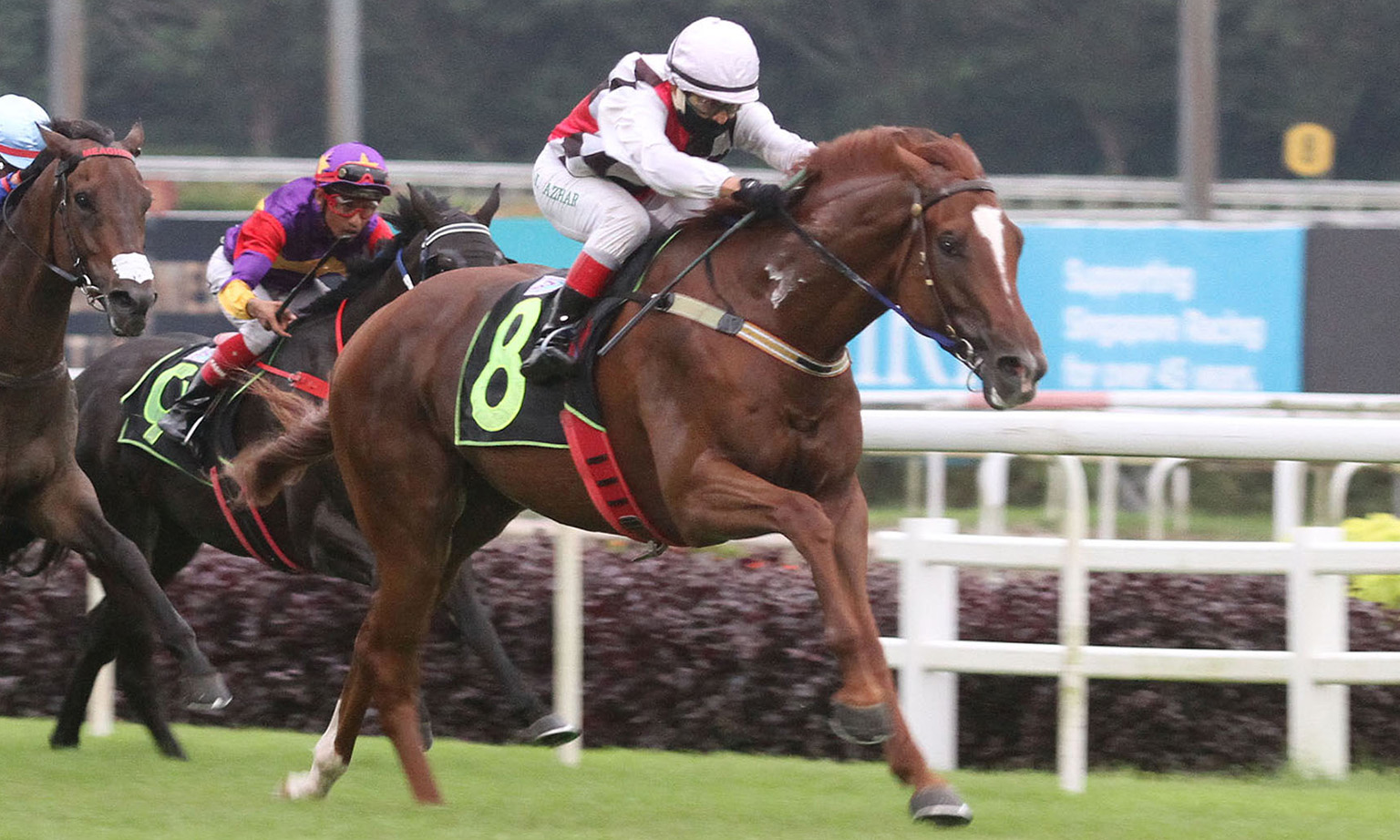 In All His Glory's two wins were over 1,400m, but trainer Cliff Brown believes his charge will have no problem seeing out the extra 200m in Race 10 today.