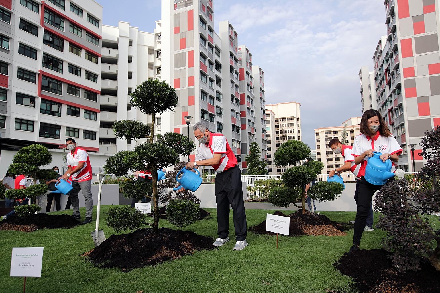 Prime Minister Lee Hsien Loong together with fellow Ang Mo Kio GRC MPs - (from left) Mr Darryl David; Ms Nadia Ahmad Samdin (hidden by the bonsai); Mr Gan Thiam Poh and Ms Ng Ling Ling - watering the bonsai trees they planted at a rooftop garden in H