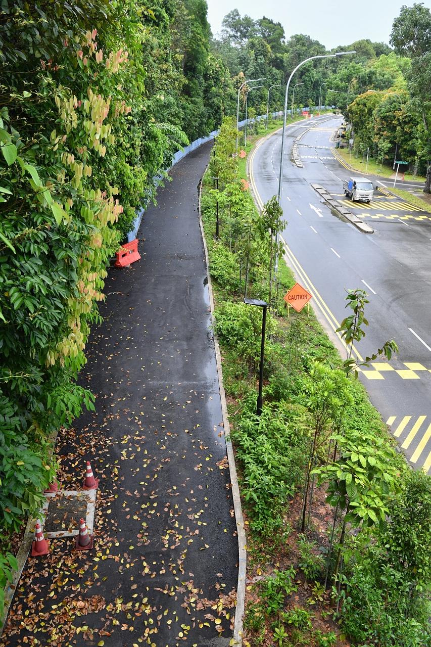 NParks says it is working to complete the long-awaited Lornie Road park connector before the end of the year.