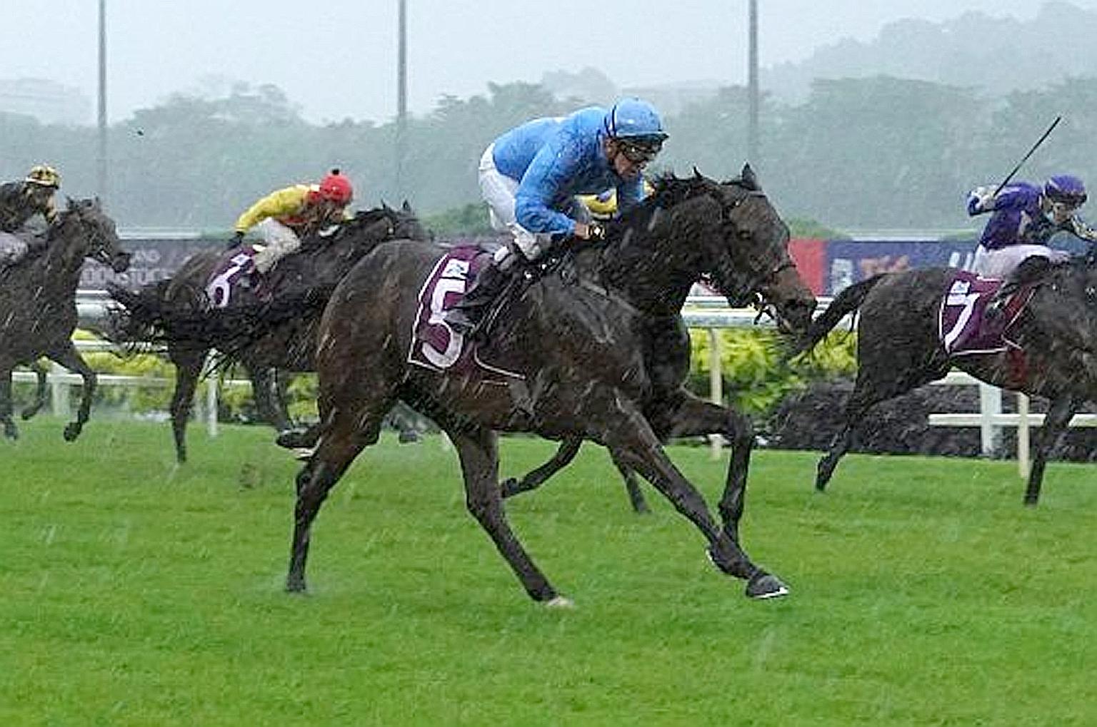 Top Knight powering home in the rain to capture the Group 1 Queen Elizabeth II Cup over 1,800m at Kranji on Oct 31.