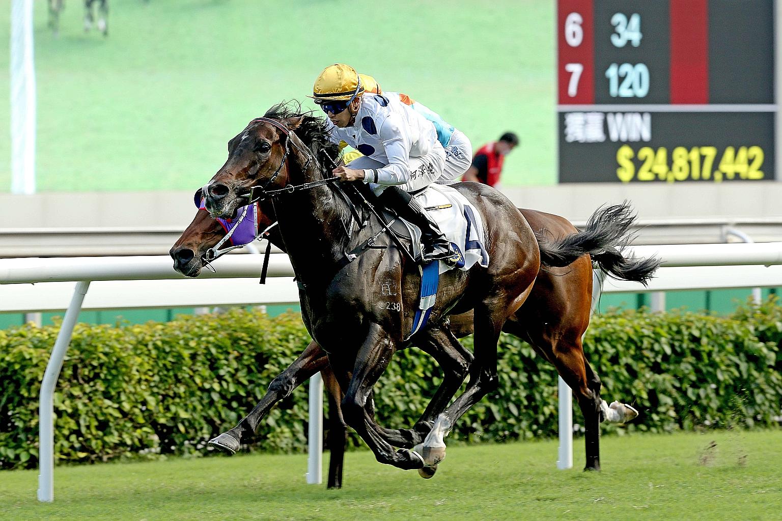 Jockey Vincent Ho guiding Golden Sixty to his ninth straight victory by capturing the Group 2 Oriental Watch Sha Tin Trophy over 1,600m on Oct 18. Tomorrow's Group 2 Jockey Club Mile is his to lose.
