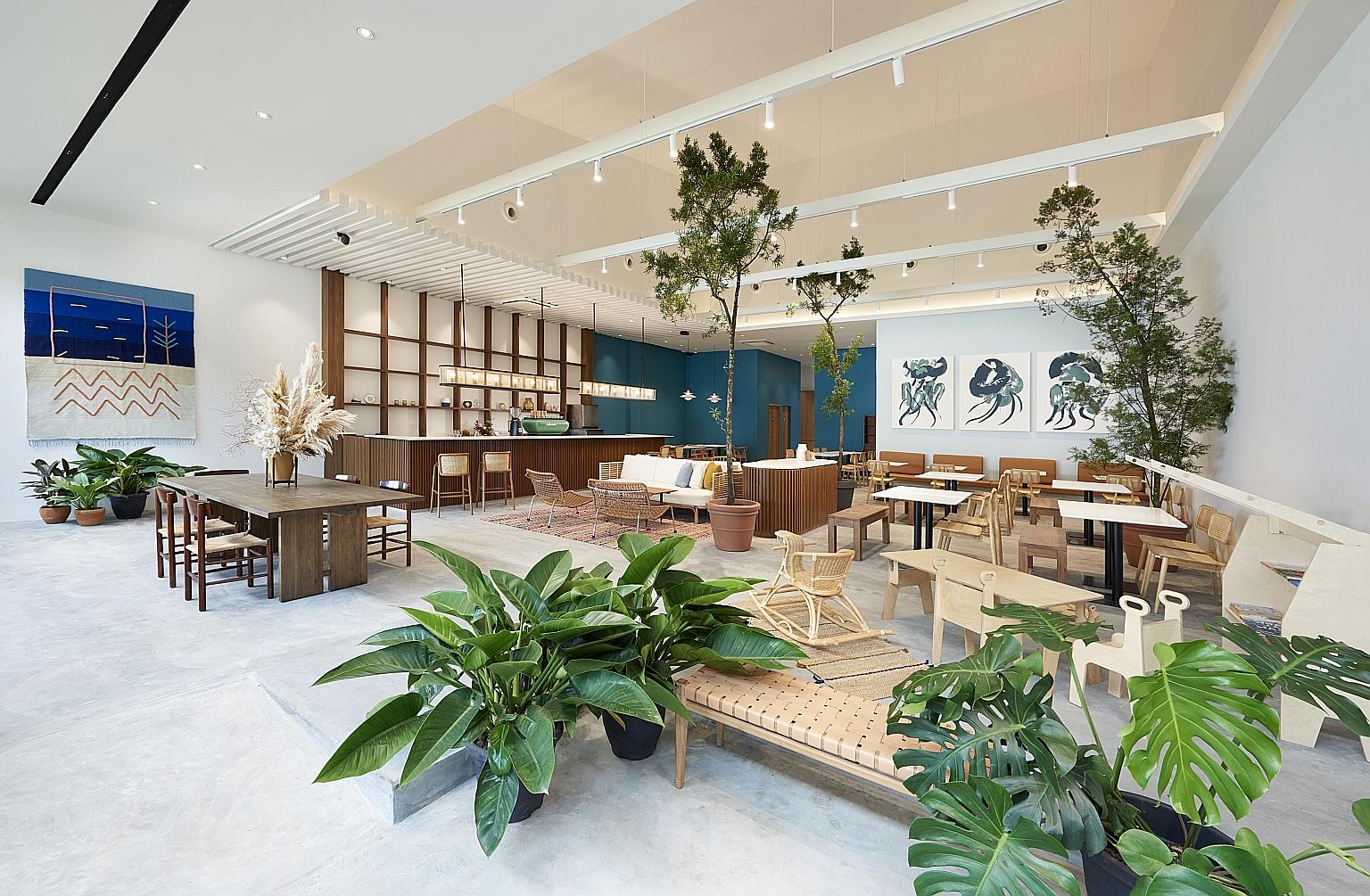 Orchid Starry Dreamz cafe, which features Little Twin Stars Kiki and Lala, serves too-pretty-to-eat confections such as the Star chiffon cake (above). This charming cafe in a colonial bungalow on sprawling grounds features a robotic arm which shakes 