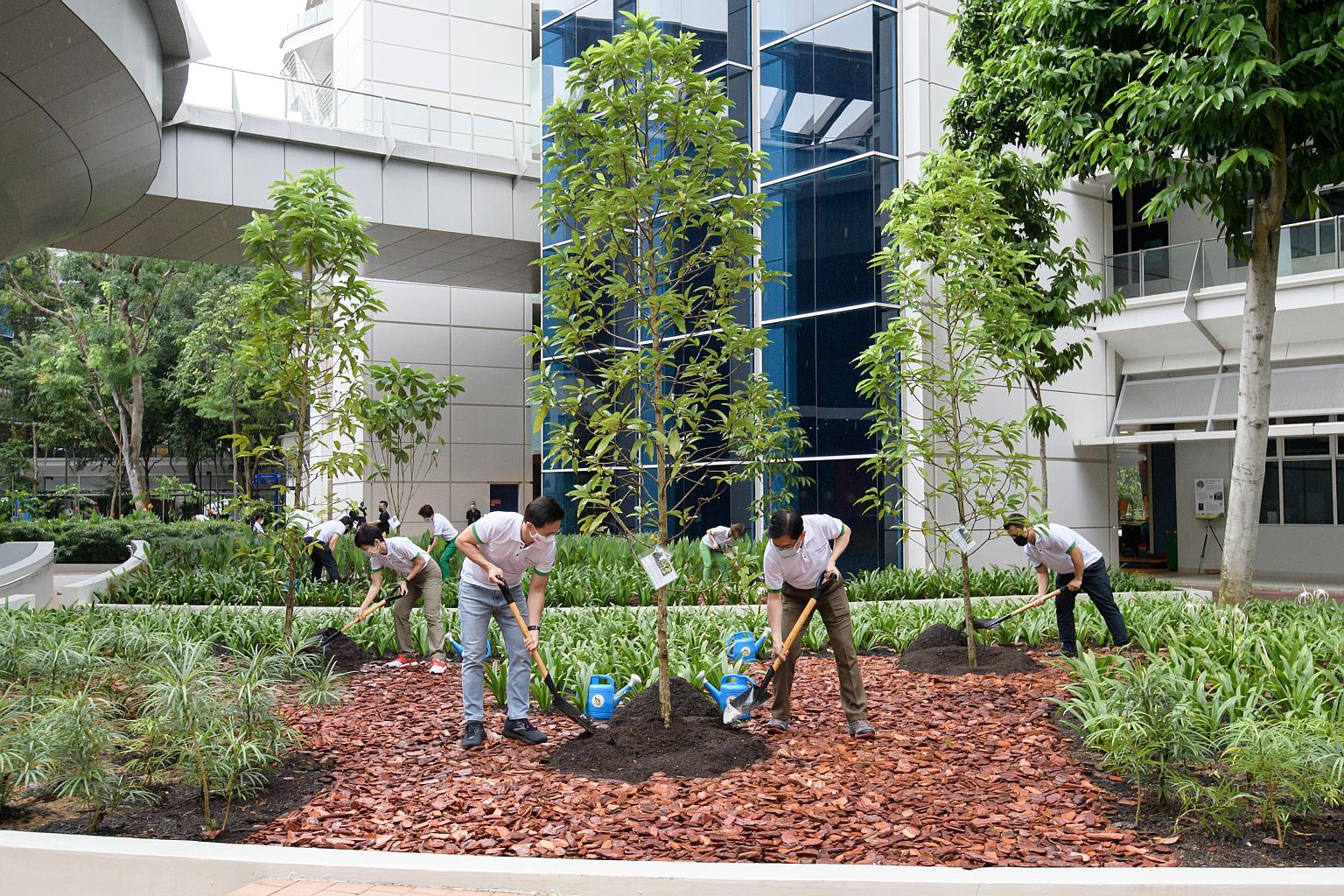 Deputy Prime Minister Heng Swee Keat (right) and Mayor of North East District, Mr Desmond Choo, planting the Magnolia champaca tree at the Clean and Green Singapore 2020 launch ceremony yesterday. PHOTO: NATIONAL ENVIRONMENT AGENCY