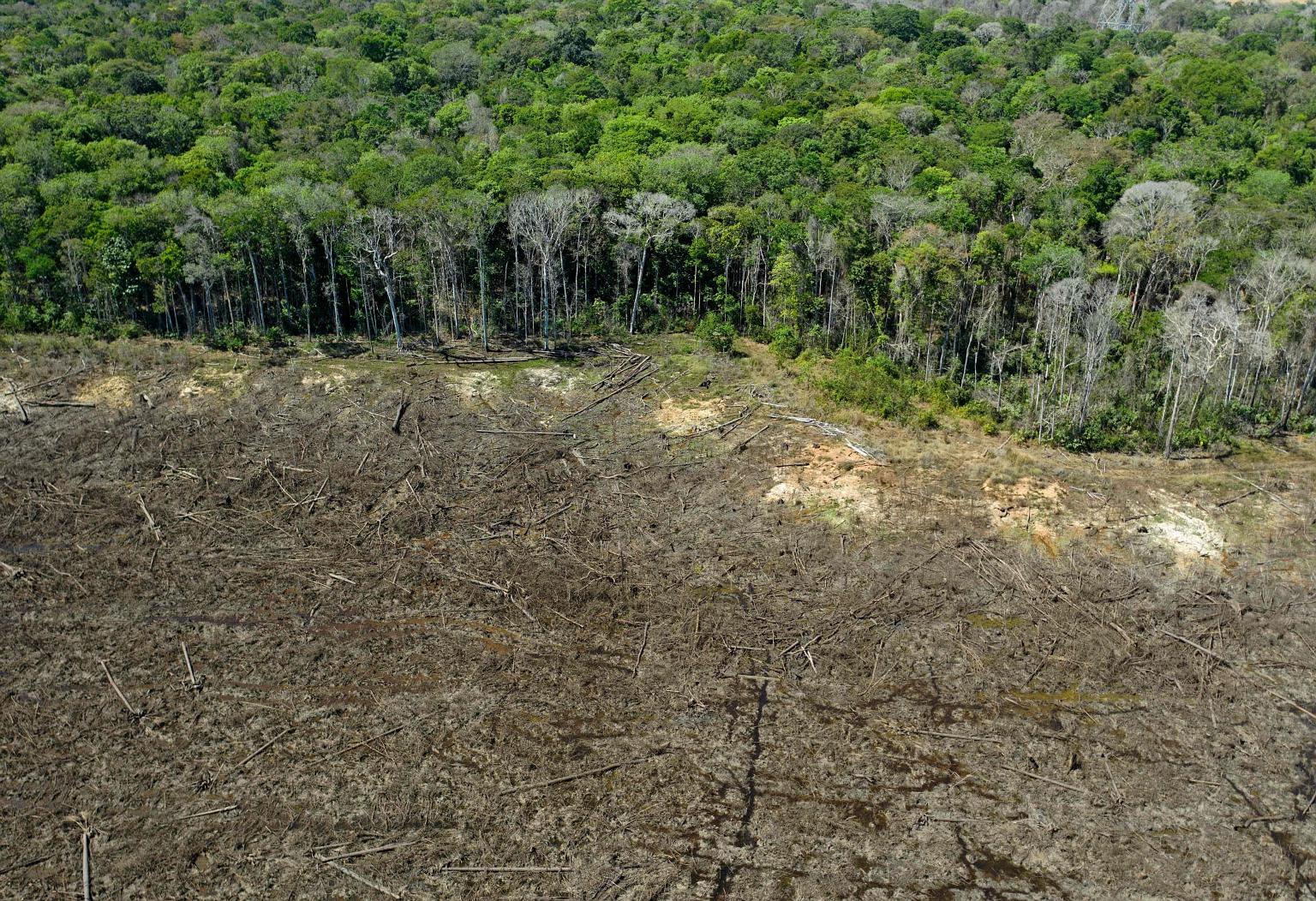 An aerial view of a deforested area close to Sinop in the Brazilian state of Mato Grosso. This year, destruction of the Amazon rainforest rose 9.5 per cent from a year earlier to 11,088 sq km.
