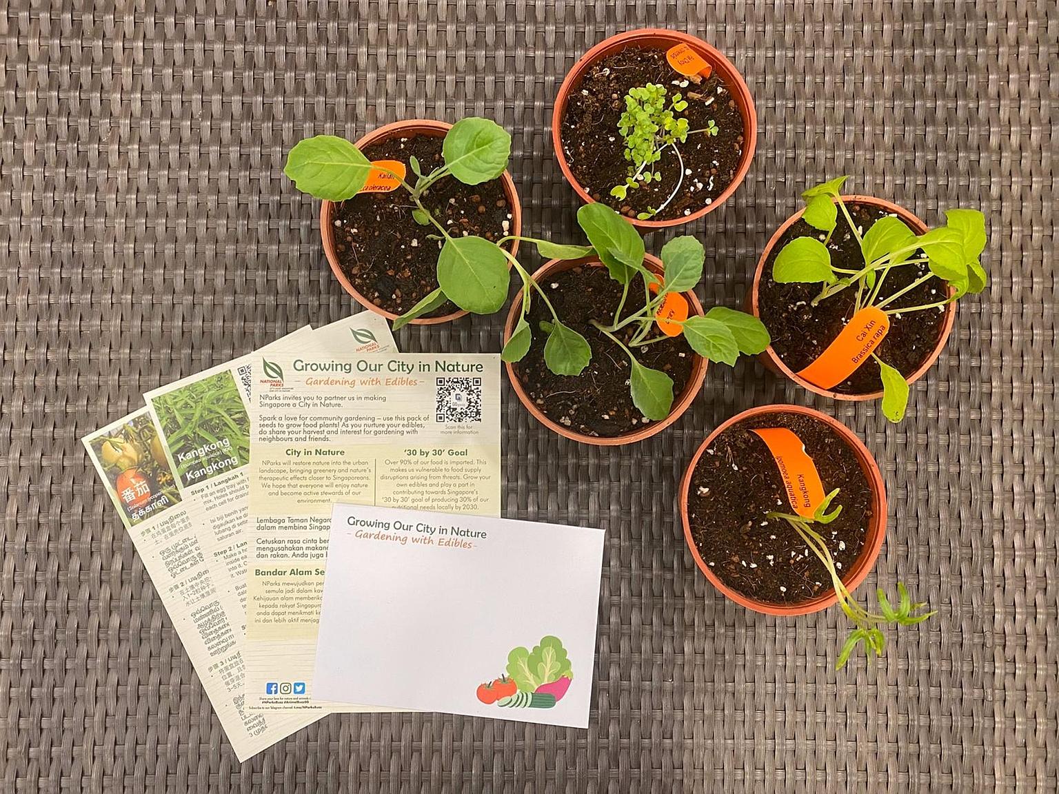 Free seeds (left) were given out to the public under the National Parks Board's Gardening with Edibles initiative.