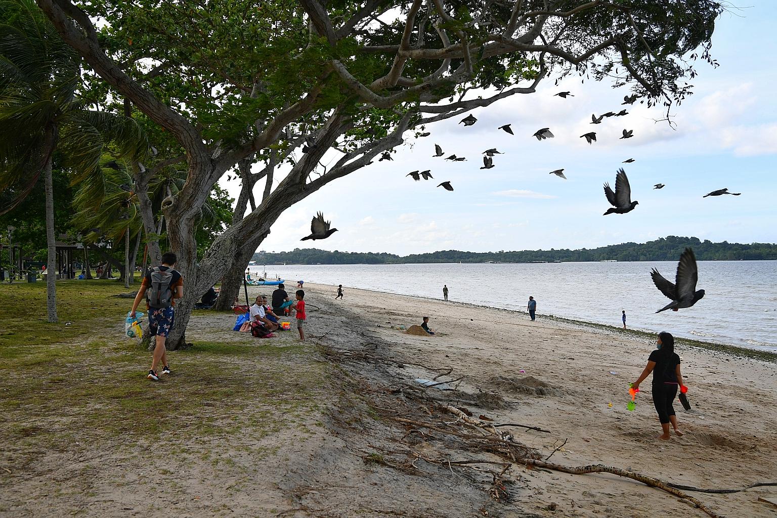 The beachfront near the upcoming post-death ritual facility at Changi Beach near Carpark 2. The site was decided upon after extensive review and consultations with relevant public agencies and stakeholders, said the National Environment Agency. It ha