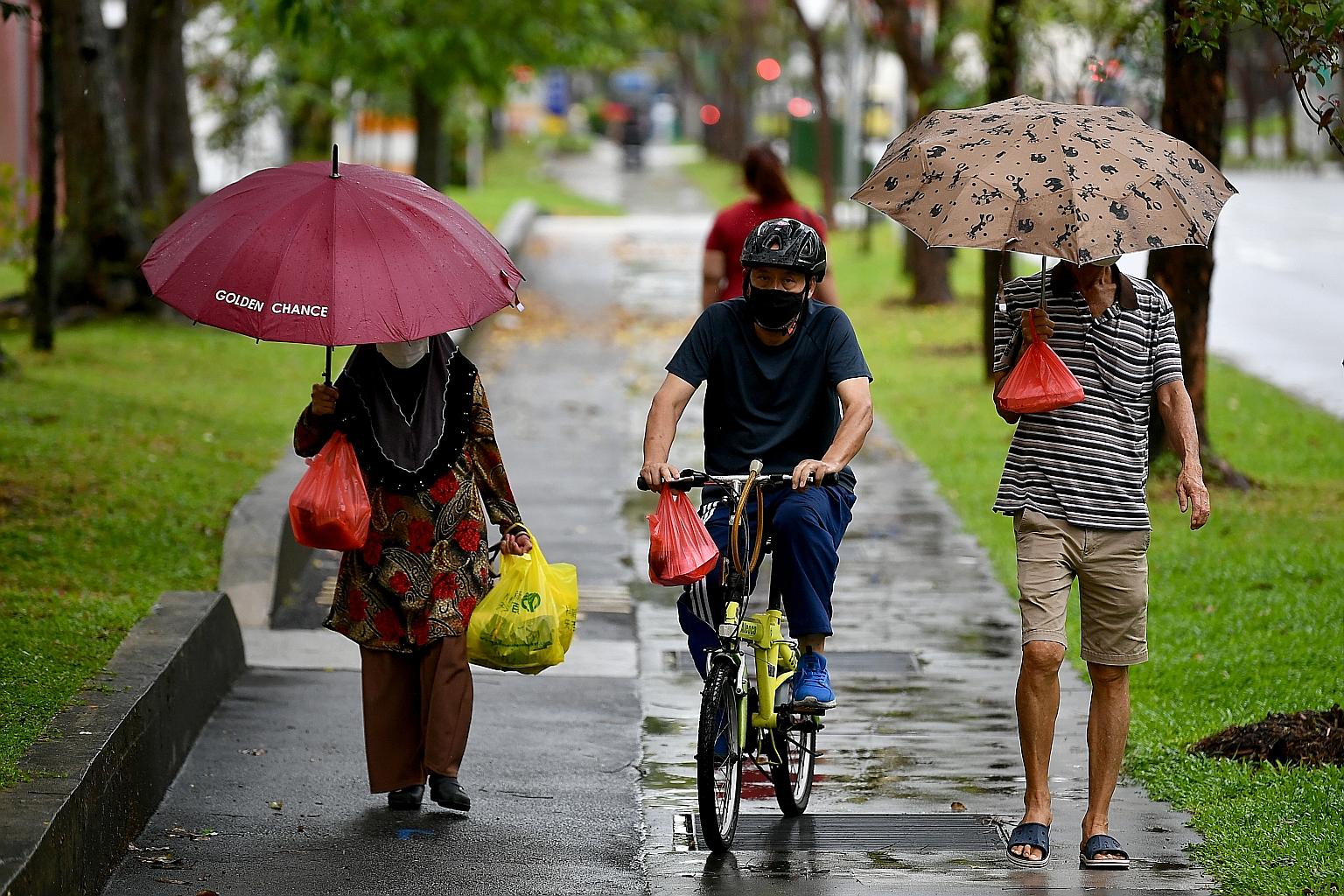 In its report submitted to the Ministry of Transport yesterday, the Active Mobility Advisory Panel recommended that there should be a minimum brake requirement for all bicycles used on public paths and roads. The panel said this would improve safety 