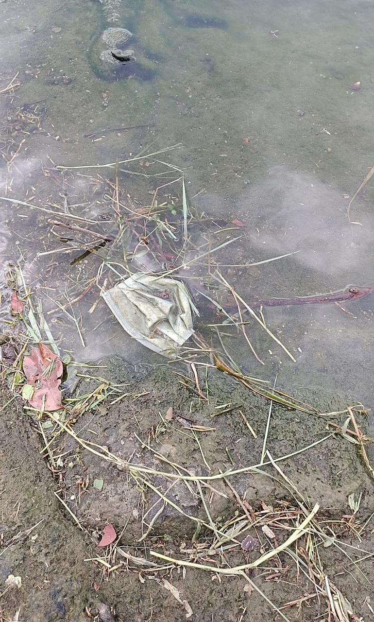 Mask litter found in November by Waterways Watch Society, which typically conducts clean-ups each week at Punggol Waterway Park, Jurong Lakeside Park and Kallang Riverside Park. PHOTO: WATERWAYS WATCH SOCIETY