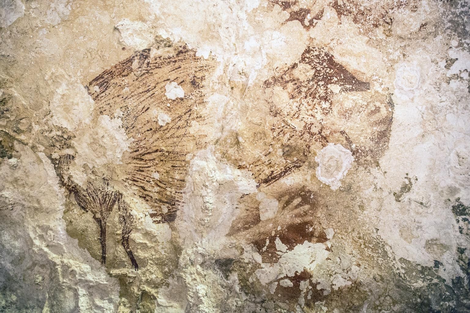 Cave paintings around the world | The Straits Times