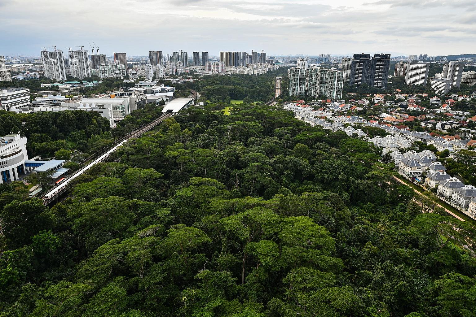 The 33ha Ulu Pandan estate, which includes Dover Forest (above), is home to at least 158 animal species and 120 plant species. National Development Minister Desmond Lee has said that some Build-To-Order flats to be launched this year would be in the