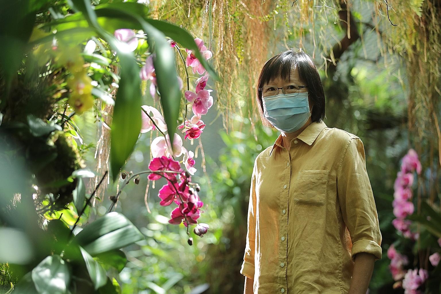 Ms Andrea Kee, deputy director of the research and horticulture department, at Gardens by the Bay's Cloud Forest orchid display. She said: "My younger colleagues will always request that I take a look at their work before they wrap up the installatio
