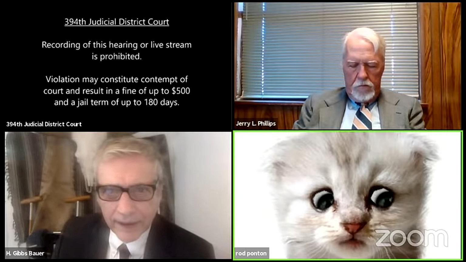 Lawyer Rod Ponton appearing with a kitten filter turned on during a virtual hearing in Texas' 394th Judicial District Court on Tuesday. The video has been hailed as an instant classic. PHOTO: REUTERS