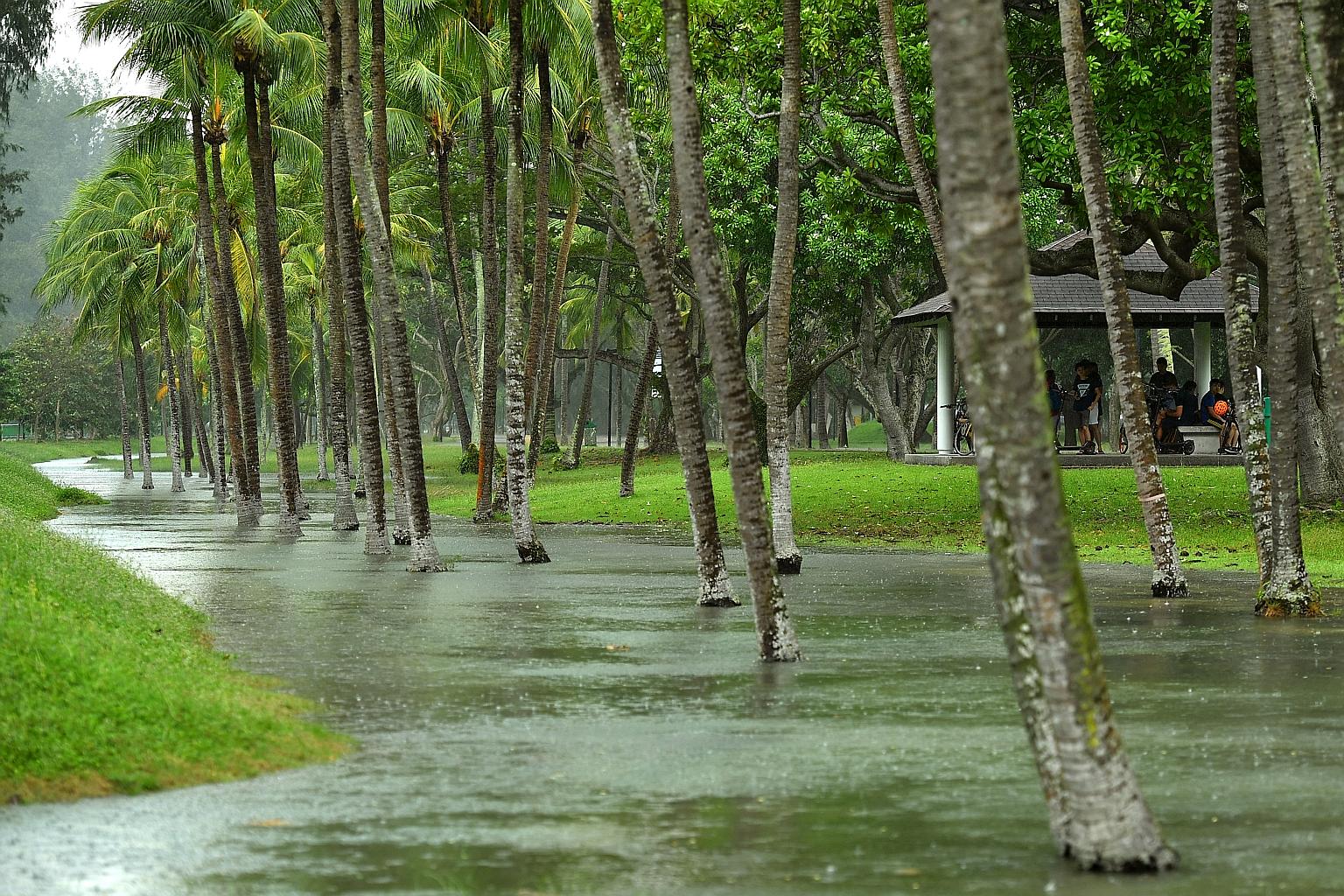 A high tide at East Coast Park in 2018 which caused seawater to overflow the banks of a drain. The proceeds from the new bonds will benefit infrastructure investments such as those aimed at protecting the Republic against rising sea levels. ST PHOTO: