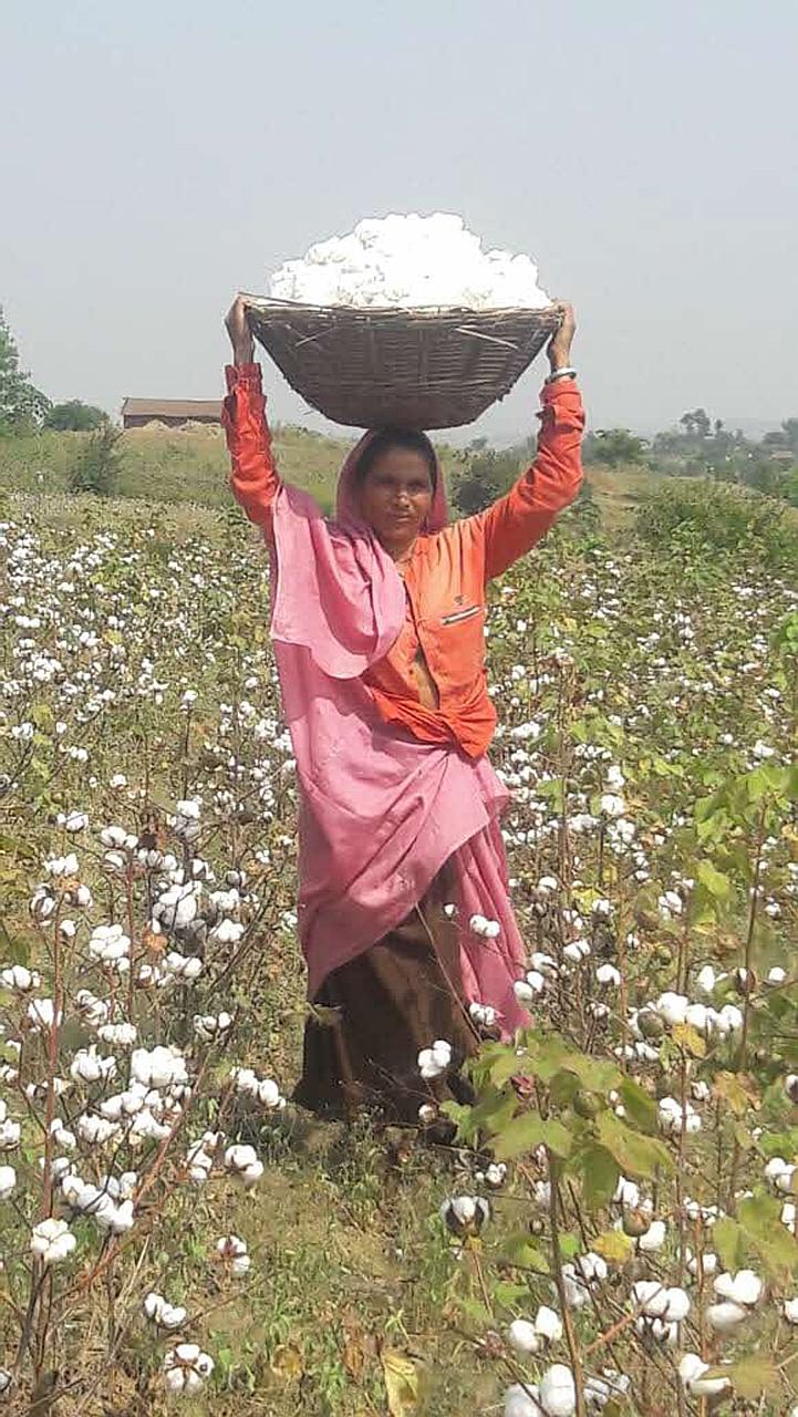 The pilot organic cotton procurement financing programme will disburse payment to more than 2,000 farmers in Inditex's supply chain ecosystem in India.