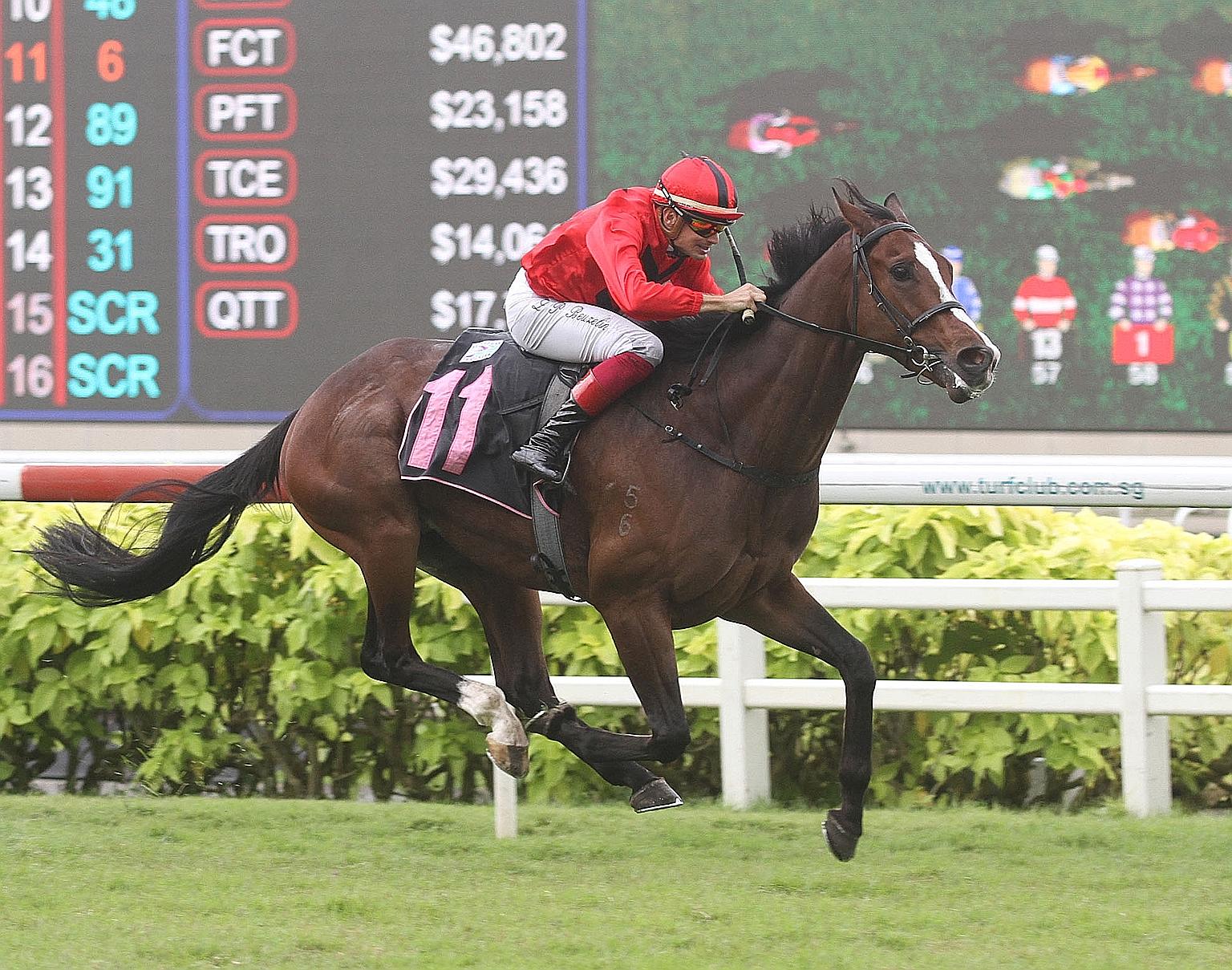 Heartening Flyer, winner of four of his five starts, is the likely favourite in tomorrow's $70,000 Class 3 race over the Polytrack 1,200m at Kranji.