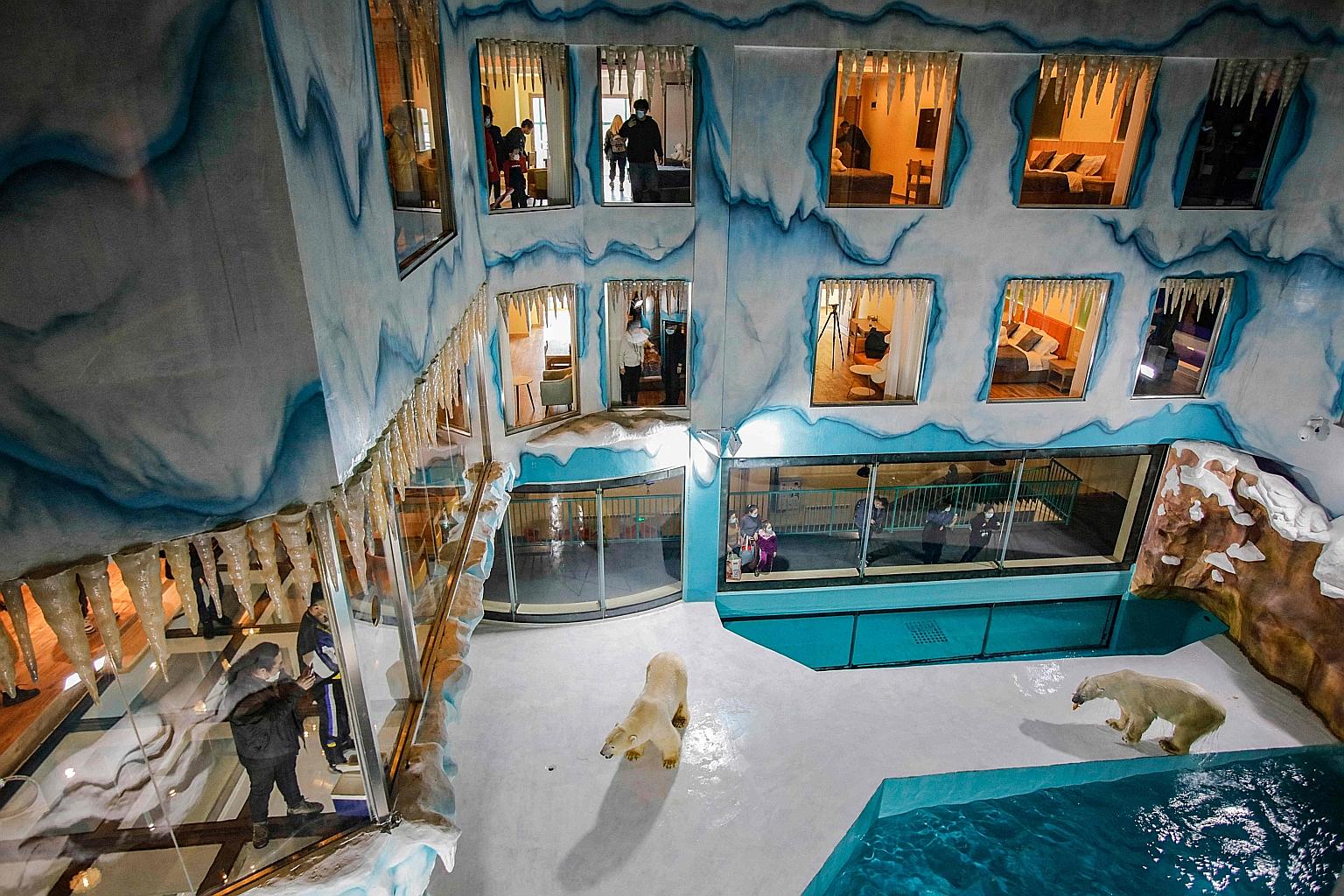Polar bears in a central enclosure at newly opened Harbin Polar Land in China's Heilongjiang province, on Friday. They can be viewed 24 hours a day by hotel guests, whose rooms face the bears' pen.