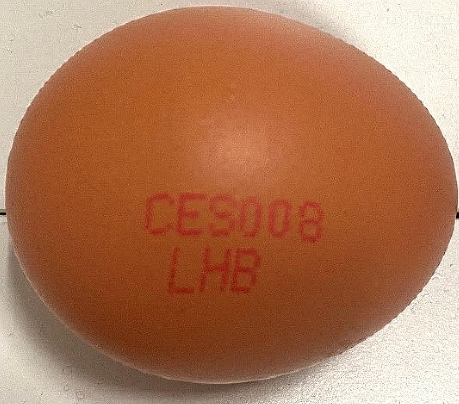 The Singapore Food Agency has directed several importers to recall eggs with the farm code "CES008", after discovering the presence of Salmonella enteritidis, which may cause illness if food is consumed raw or undercooked.