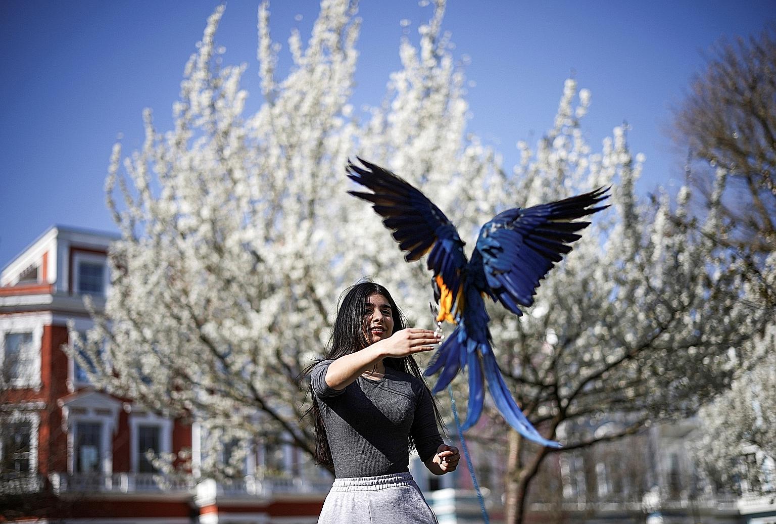 A woman training her pet parrot in Primrose Hill, London, on Monday following the easing of lockdown restrictions as Britain makes headway with its Covid-19 vaccination programme. The proportion of respondents in a poll who cited Covid-19 as a big is