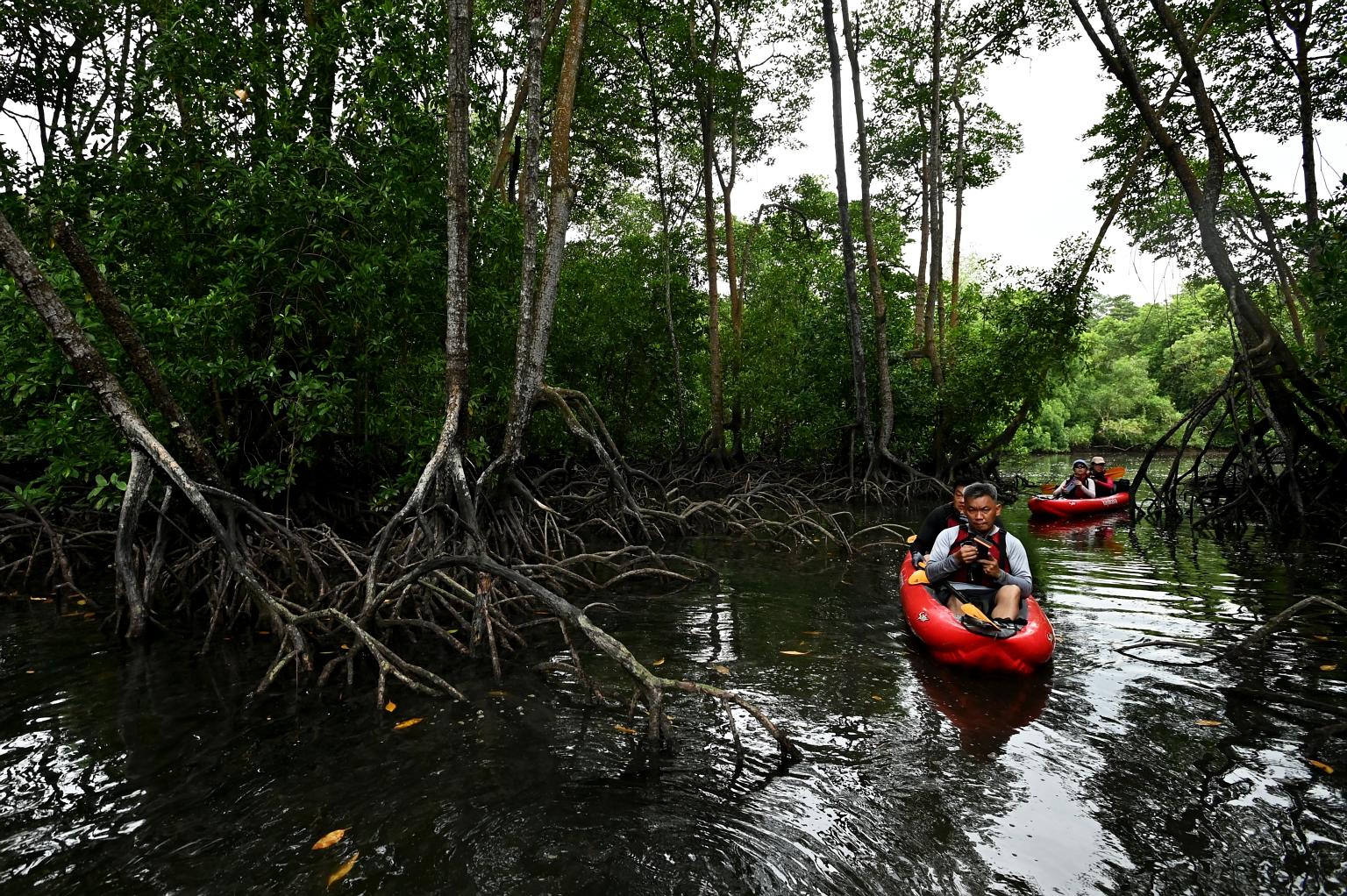 Participants taking part in a kayaking trip last October. Tours will still be subject to existing social gathering sizes, which means that 50 people must be split into groups of no more than eight, with no intermingling allowed.