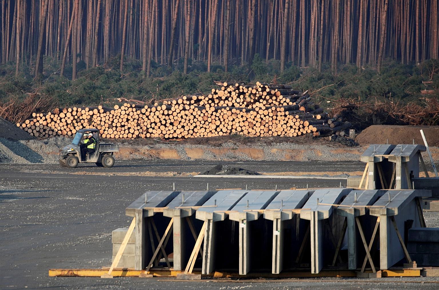 Tesla's gigafactory construction site in Gruenheide, near Berlin, Germany. The electric carmaker was forced to temporarily suspend forest clearing last year after campaigners won an injunction over threats to the habitats of resident lizards and snak