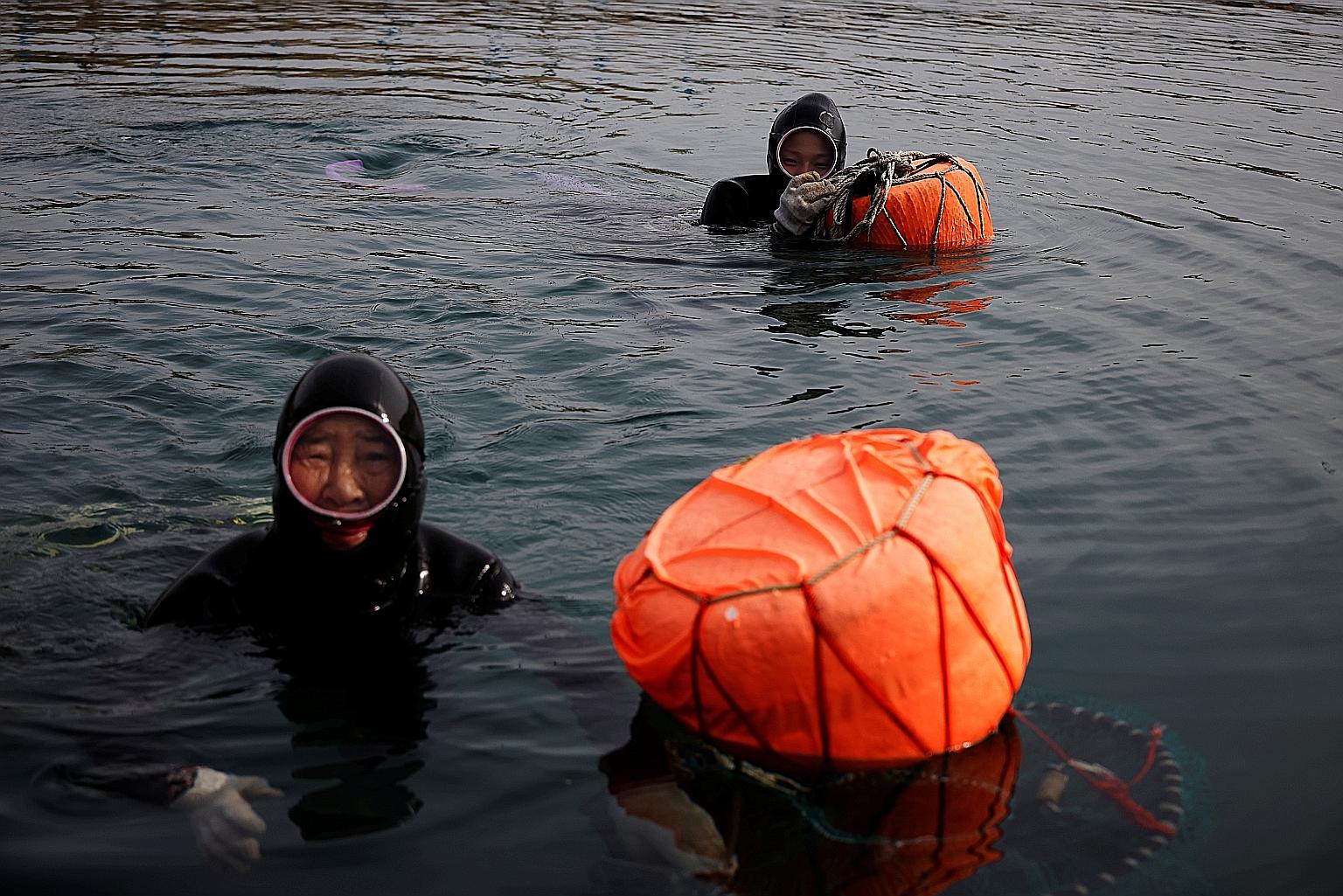 Haenyeo, or "sea women" floating in the water as they work in the sea off Geoje, South Korea. Every year the waters are a little less icy - warming as much as 2.6 times more than the world average - changing the undersea habitat and casting doubt on