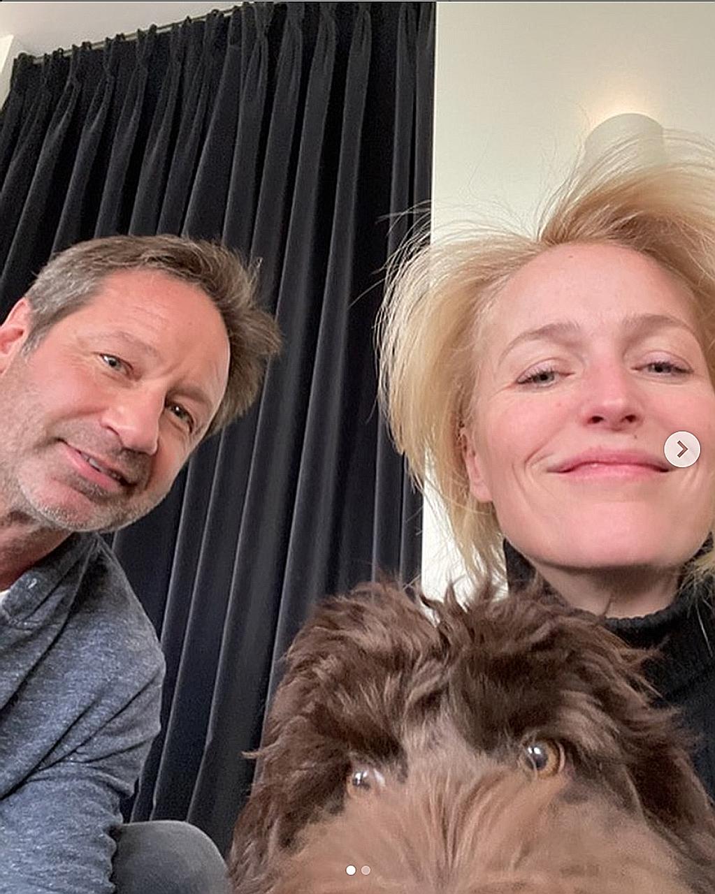 THE X-FILES STARS GILLIAN ANDERSON AND DAVID DUCHOVNY TOGETHER AGAIN:Fans of The X-Files rejoiced when its two stars, Gillian Anderson and David Duchovny, reunited in an Instagram photo. In a post on Sunday, Anderson put up two photos of them with he