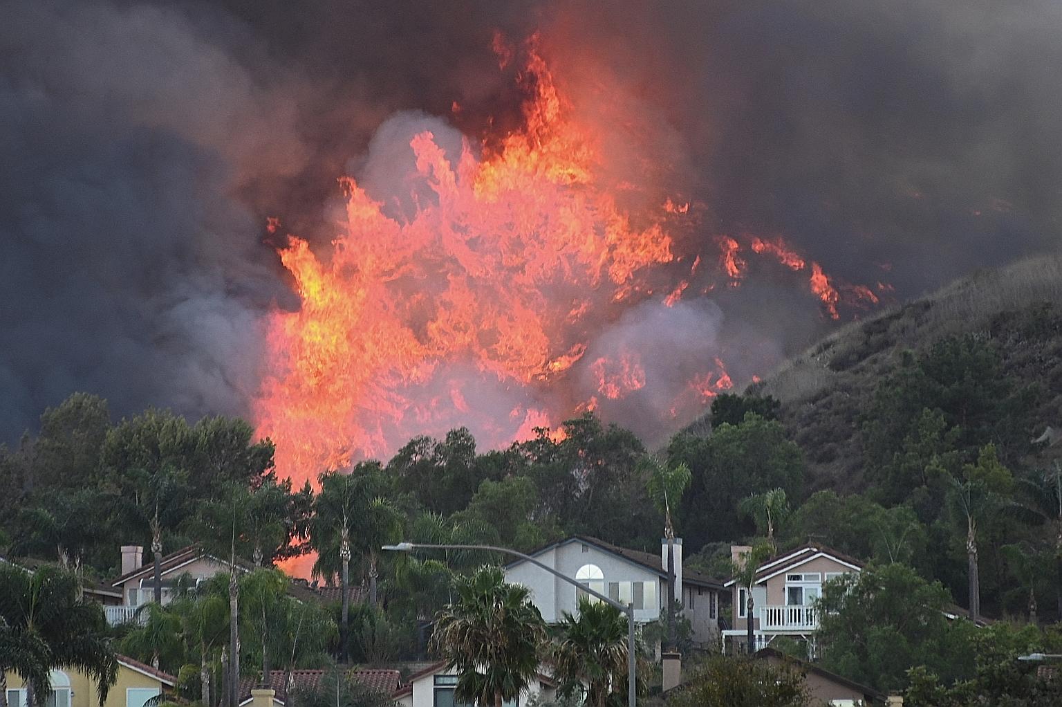 Flames from the Blue Ridge Fire seen near homes off the 71 Freeway in Chino, California, on Oct 27 last year. 