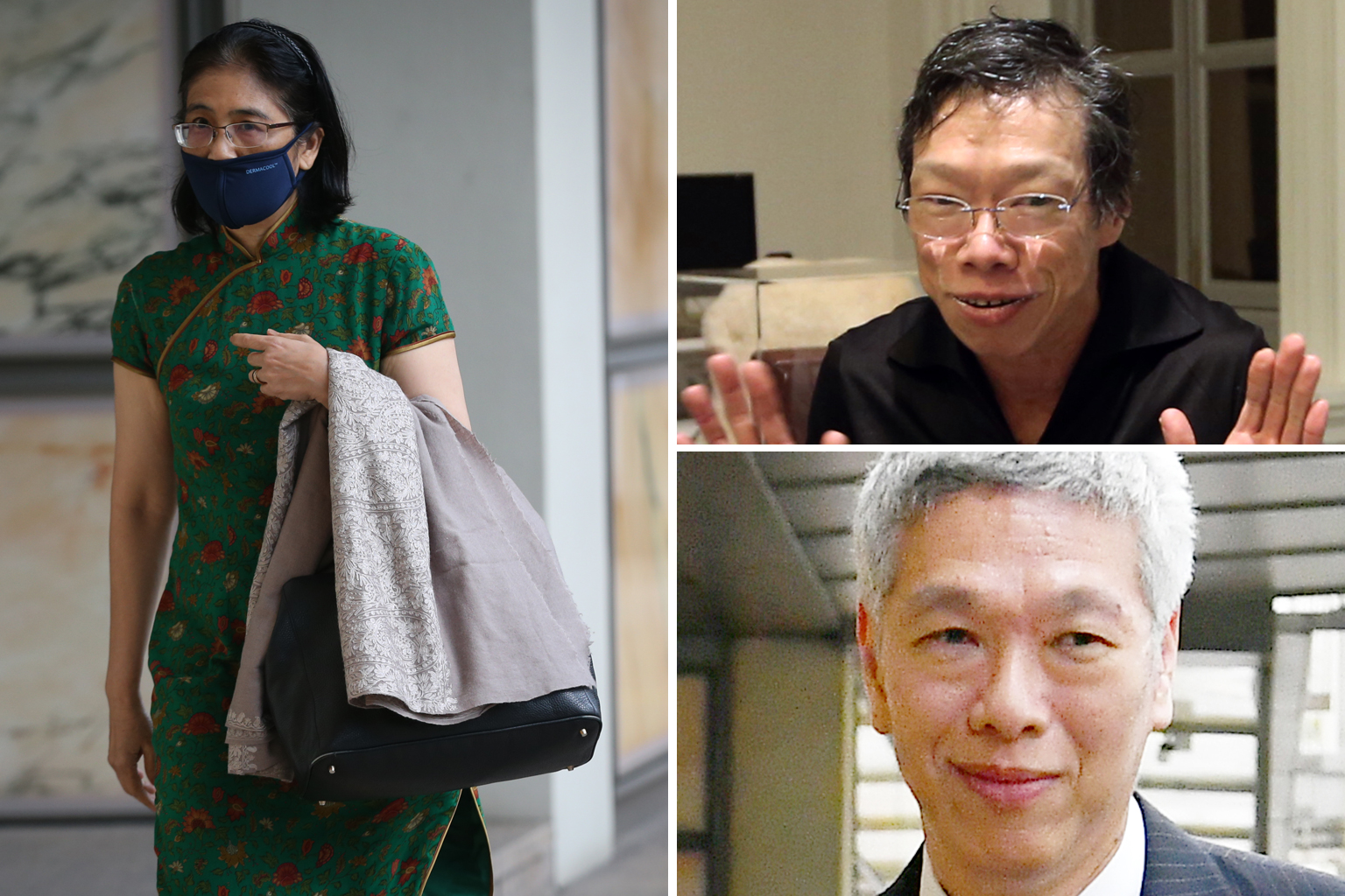 Siblings Lee Wei Ling (top) and Lee Hsien Yang (above), executors of founding prime minister Lee Kuan Yew's estate, filed the complaints against lawyer Kwa Kim Li (left).