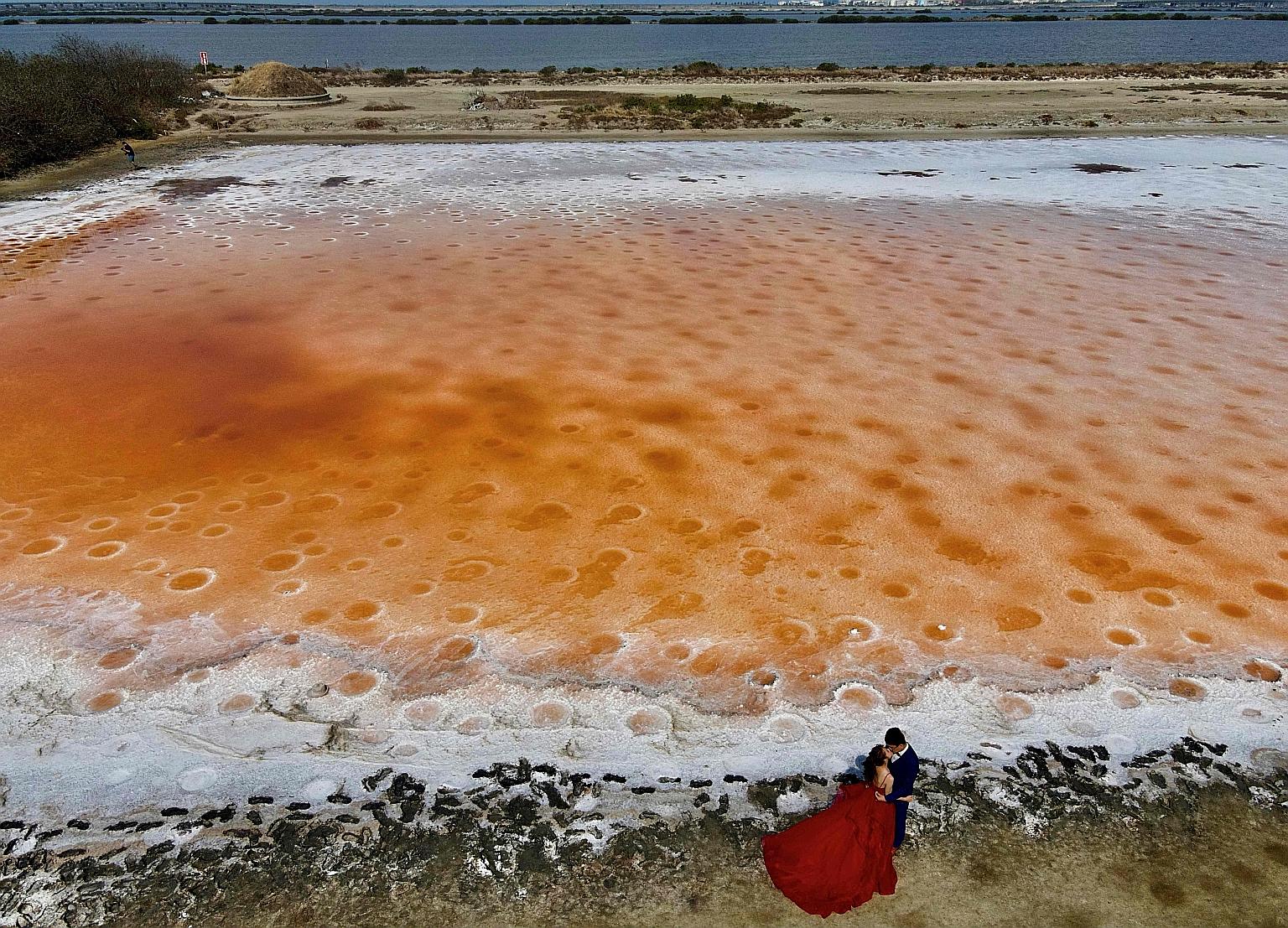 This couple had a more unconventional setting in mind for their wedding photo shoot in Tainan city, Taiwan, on Wednesday - a salt field whose unusual colour was caused by a lack of rain. Taiwan is suffering from its worst drought in decades. The isla
