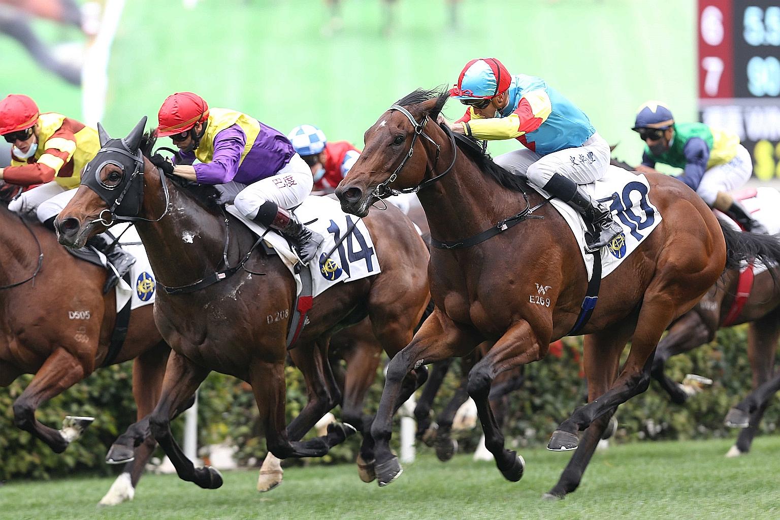 Fantastic Treasure (No. 10) is a star in the making with three wins from three starts. From Gate 2, he looks capable of taking the final event.