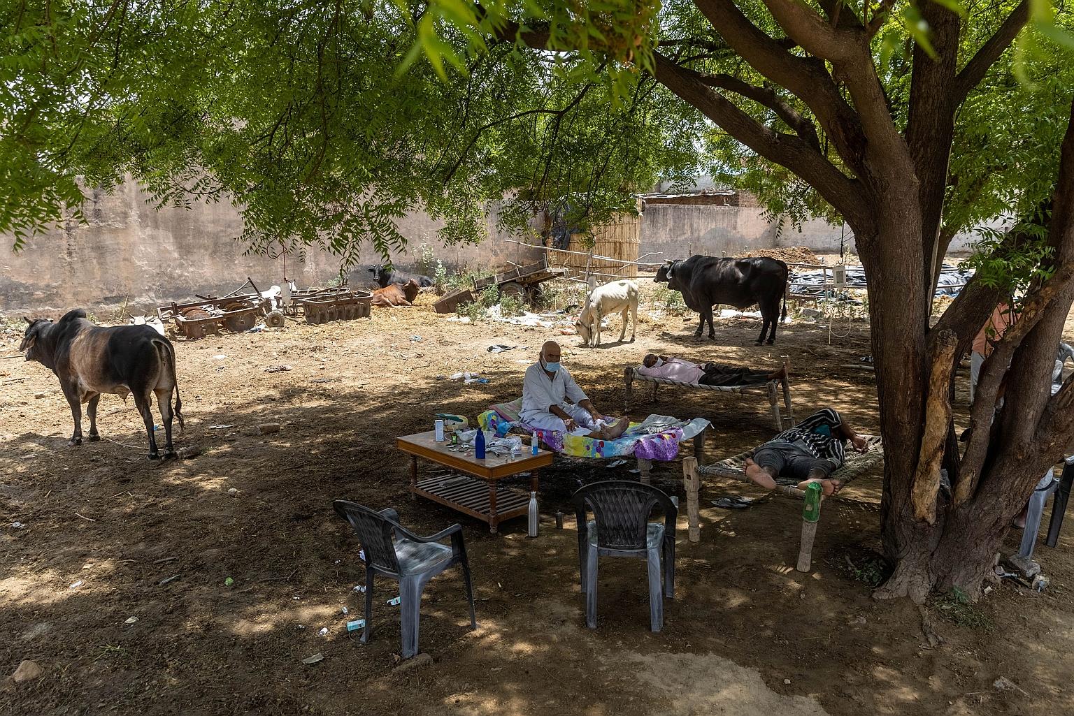 A villager being treated at a makeshift Covid-19 clinic in Mewla Gopalgarh in the northern Indian state of Uttar Pradesh on Sunday. The rise of new virus infections in India has slowed, but with the virus spreading in low-income rural areas, the over