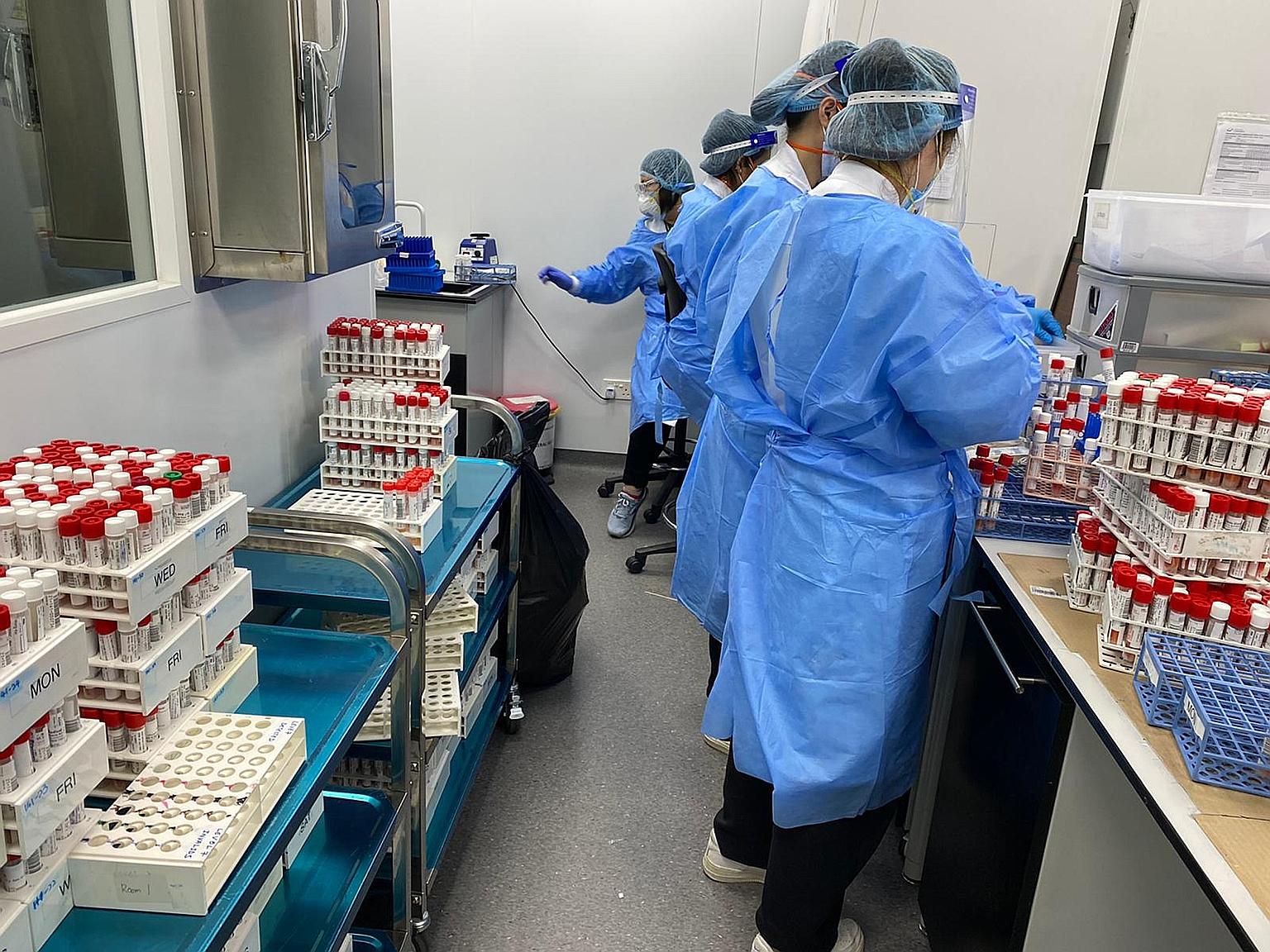 Parkway Laboratories staff processing Covid-19 swabs last Friday. To cope with the increased workload, it has increased manpower, with some laboratory technicians working longer shifts or volunteering to work on their days off. PHOTO: PARKWAY LABORAT