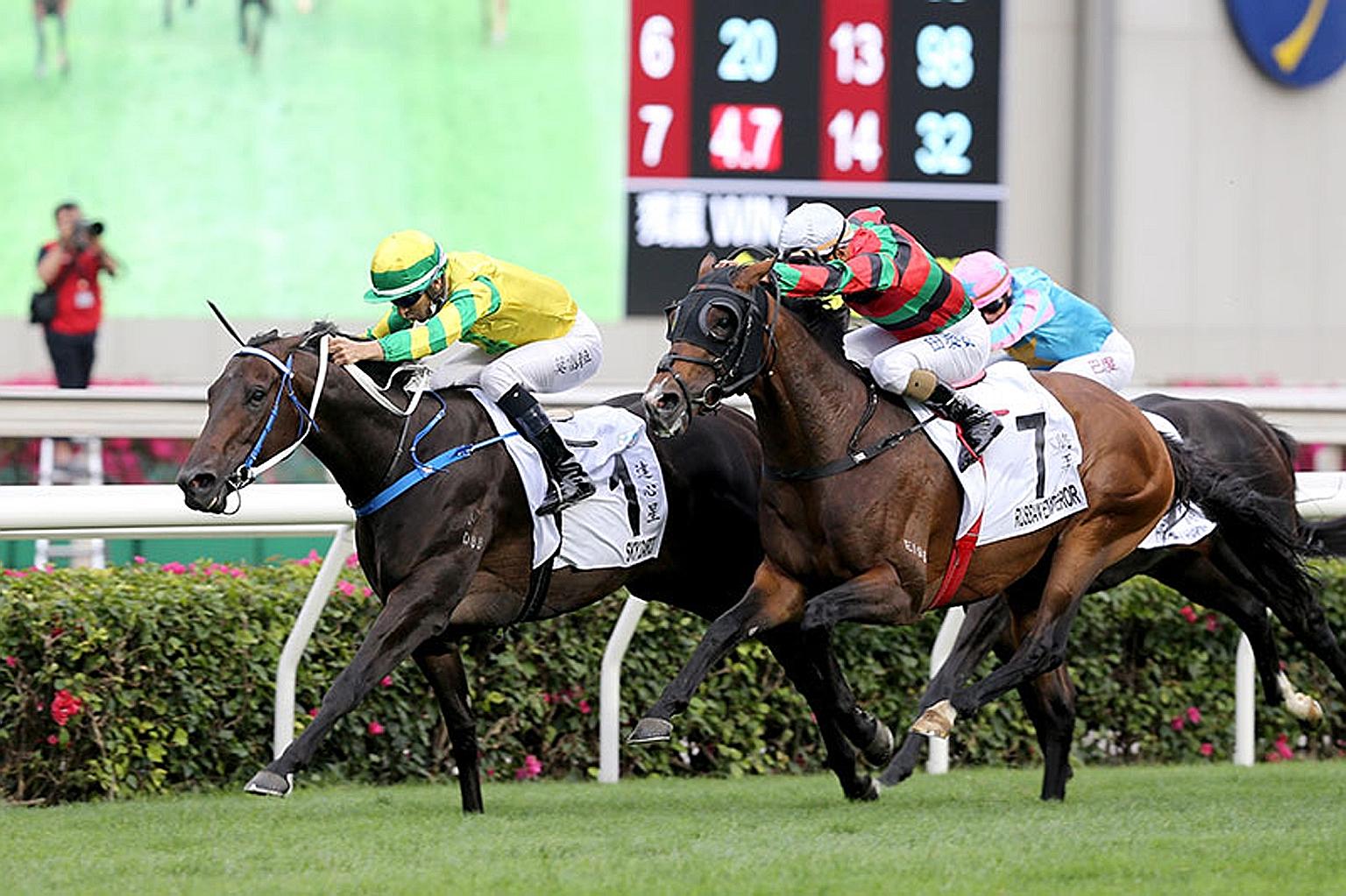 Sky Darci (No. 1) looks the one to beat in tomorrow's Group 3 Lion Rock Trophy Handicap with a low weight and a sharp trial. The step-back to the mile also suits.