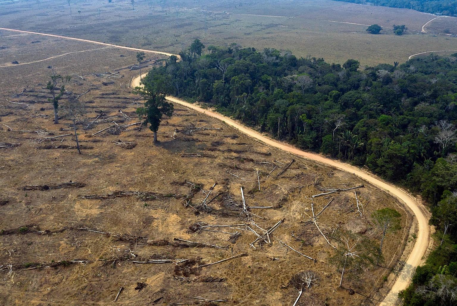 An August 2019 photo showing burnt areas of the Amazon rainforest in Brazil. A 2018 paper said the Amazon generates about half of its own rainfall by recycling moisture through evaporation and transpiration. But deforestation could cause the cycle to