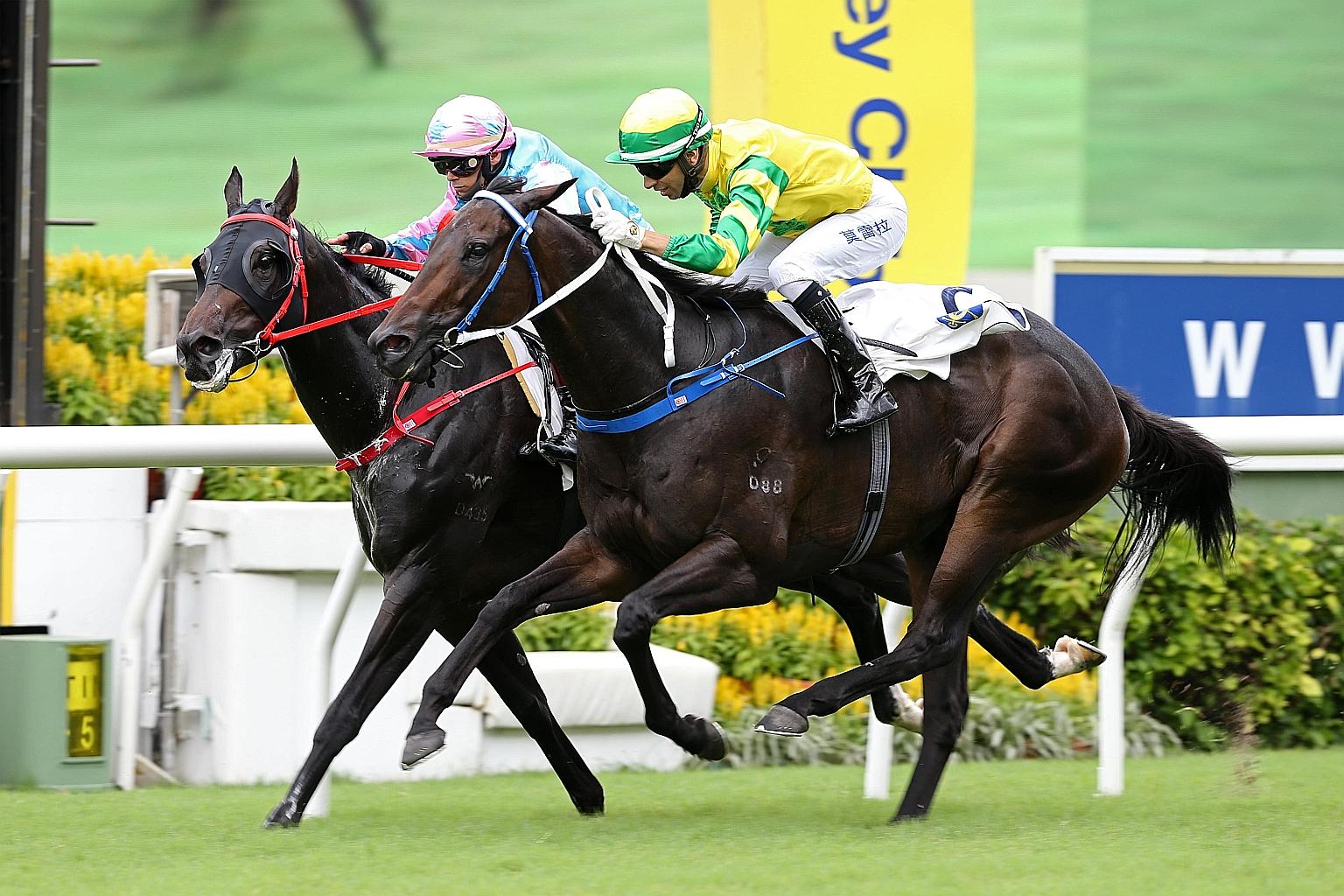 Healthy Happy (inside) beating all but Sky Darci in the Group 3 Lion Rock Trophy over 1,600m last start on May 30. The step-back to 1,400m and a 4lb (1.8kg) reprieve will favour him more than Sky Darci tomorrow.