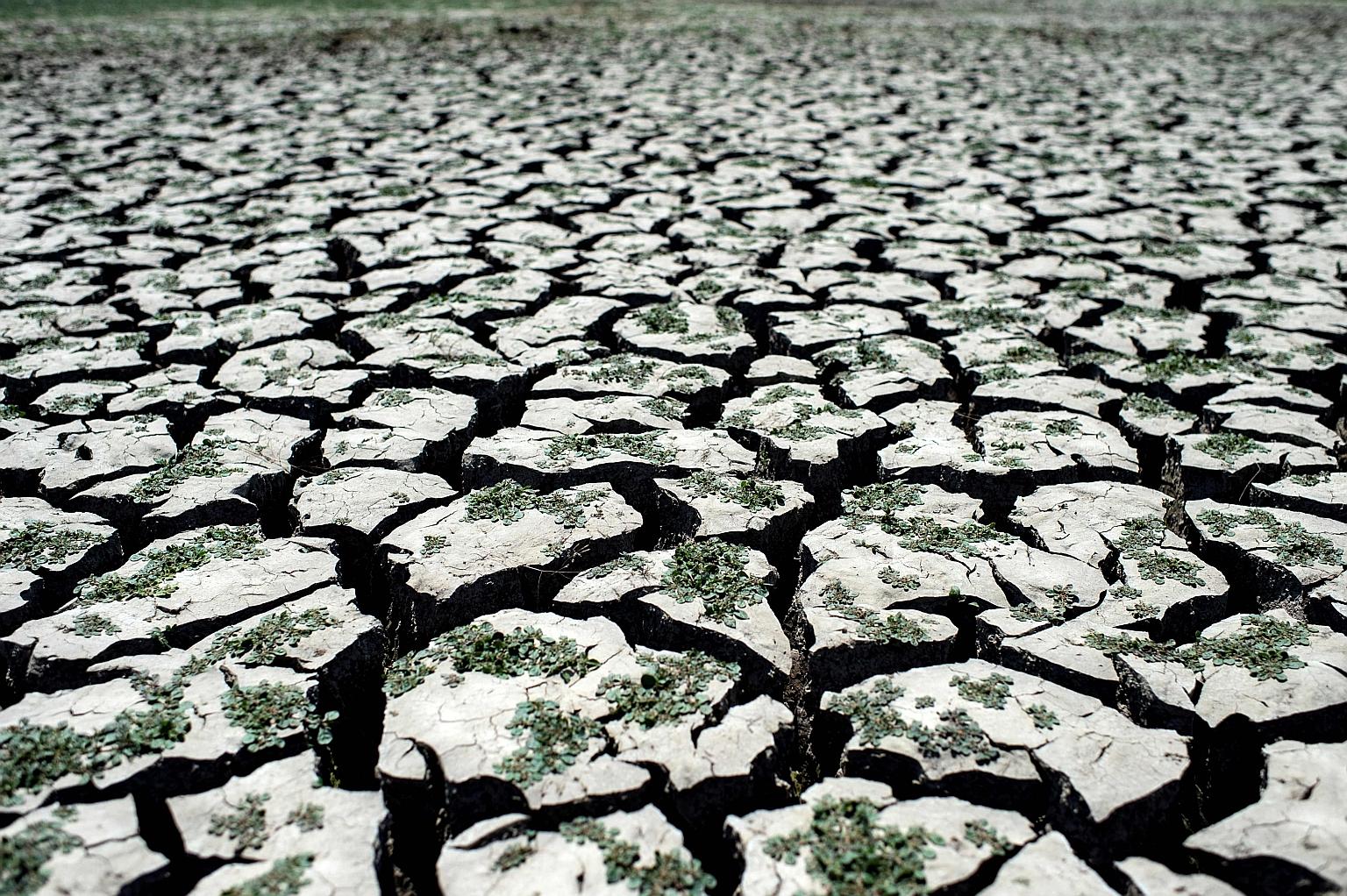 A dried-up area of the Penuelas Lake in Valparaiso, Chile, last year. A landmark UN draft report says choices societies make now will determine whether our species thrives or simply survives as the 21st century unfolds.