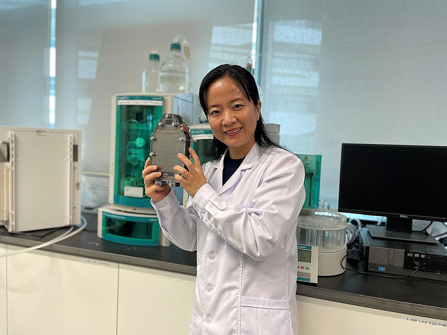 Associate Professor Yang Hui Ying, who is leading a research team from the Singapore University of Technology and Design, with a desalination battery. Desalination entails the removal of salts from seawater. The desalination battery separates them th