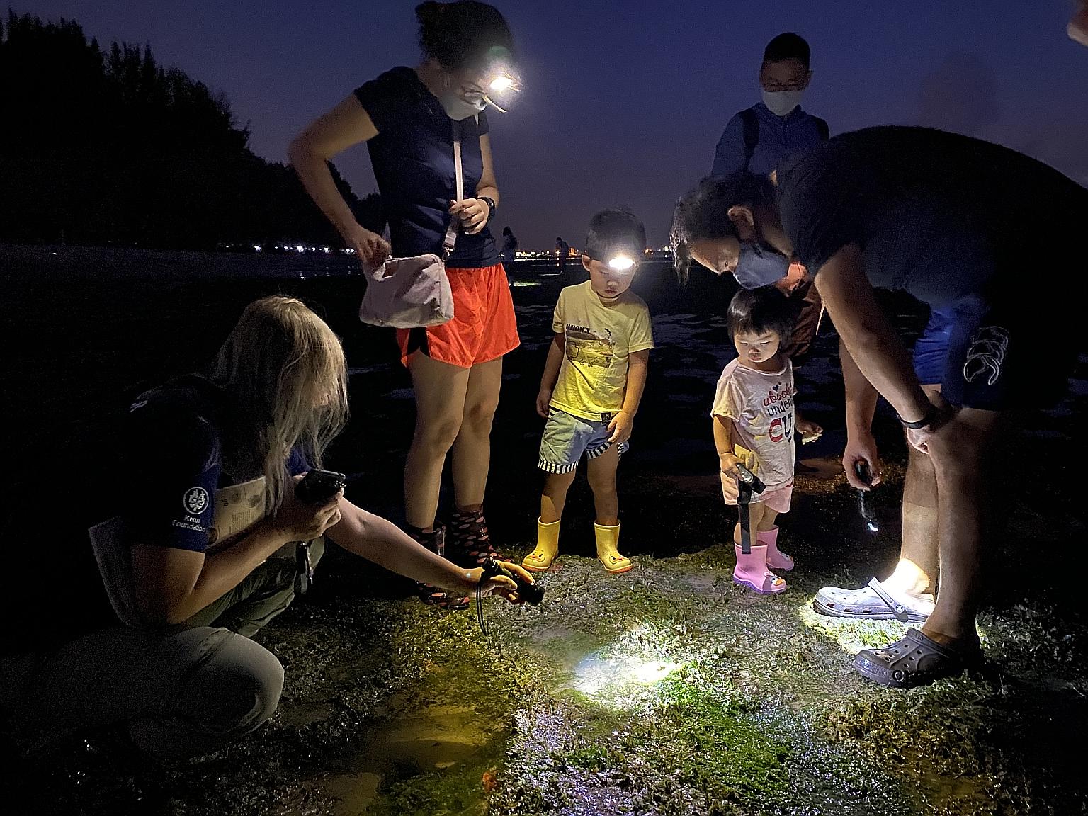 "Just look, don't touch," volunteer guide Doreen Foo (left in photo), 44, was heard reminding a family exploring Changi Beach at low tide yesterday. Over the weekend, more than 50 volunteers joined about 70 NParks staff to advise the public on intert