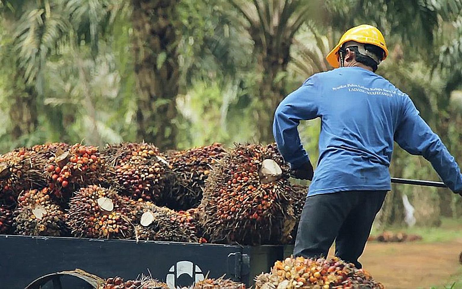 Workers at an IOI oil palm estate in Pahang said accommodation was poor, with some forced to sleep on the floor as they were not given beds.