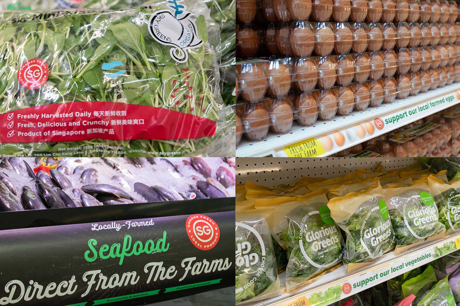 How to start going greener from home this weekend The Straits Times