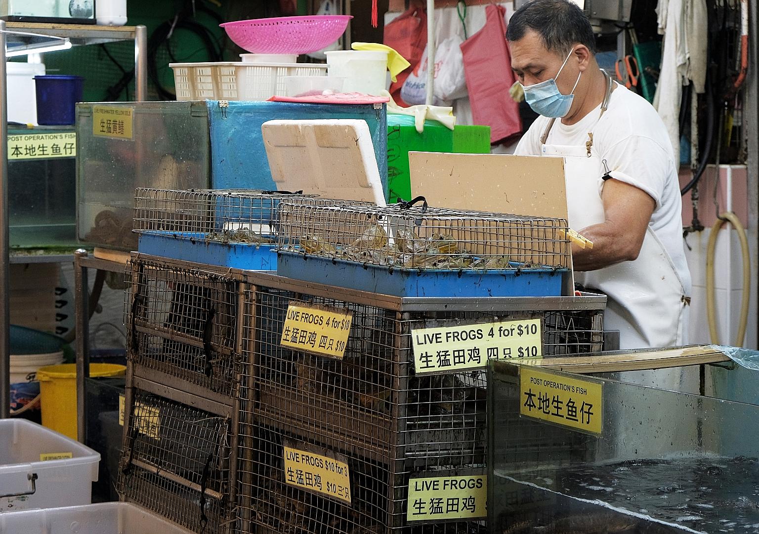 Live frogs for sale at the Chinatown Complex wet market in May last year. The review of the treatment of live animals sold for food was announced in Parliament in April last year, after health concerns were raised about possible disease transmission 