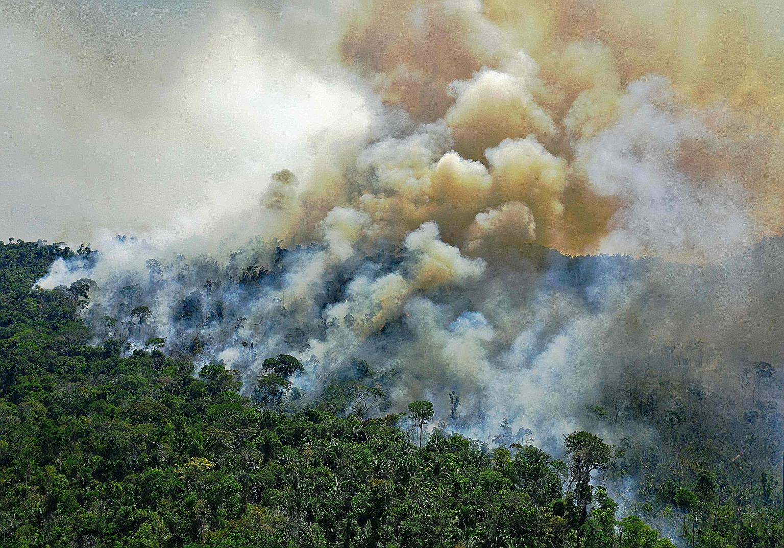 If Amazonia - with 450 billion tonnes of CO2 locked in its trees and soil - were to become a consistent source rather than a "sink" of CO2, tackling the climate crisis would be vastly more challenging, researchers say.